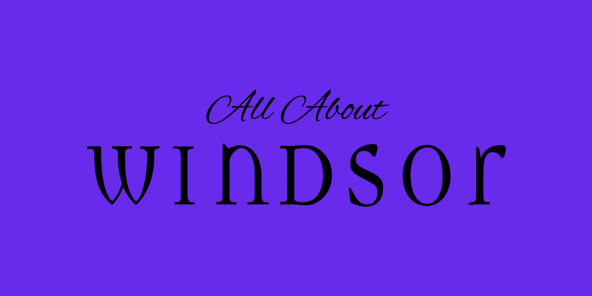 Fashion Brands 101: What is Windsor?