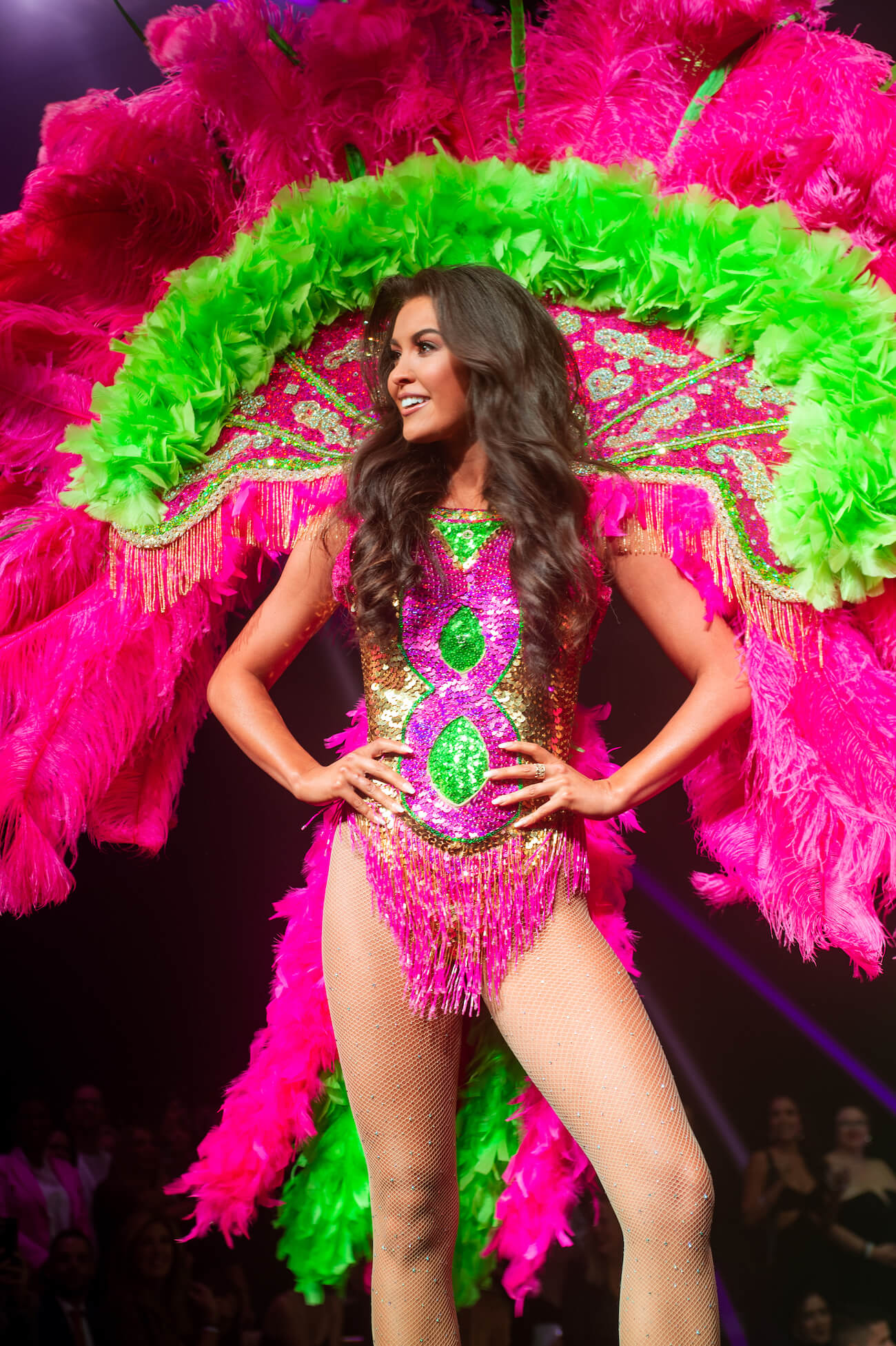 The Most Daring State Costumes From This Year's Miss USA Pageant