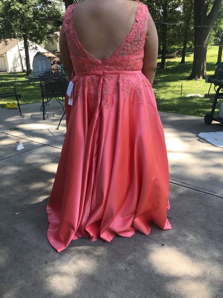 Pink Size 26 Ball gown on Queenly