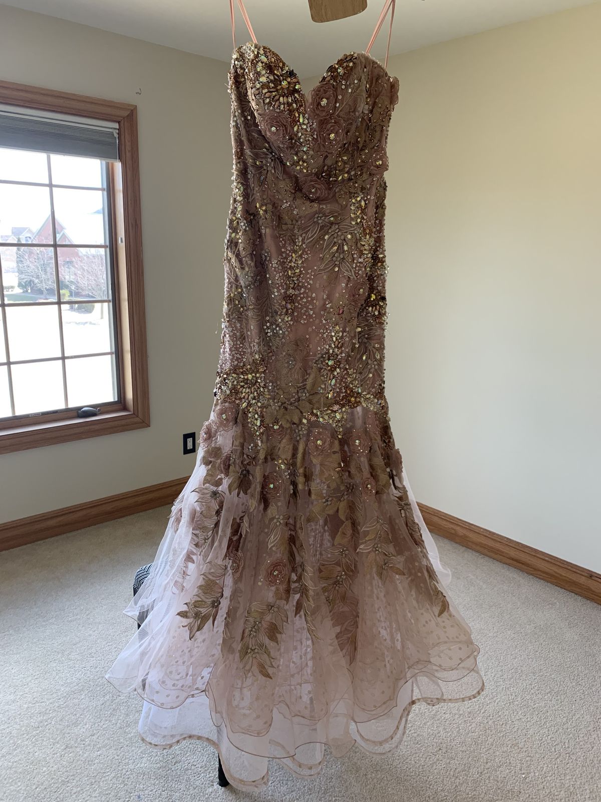 Mac Duggal Size 6 Sheer Pink Ball Gown on Queenly