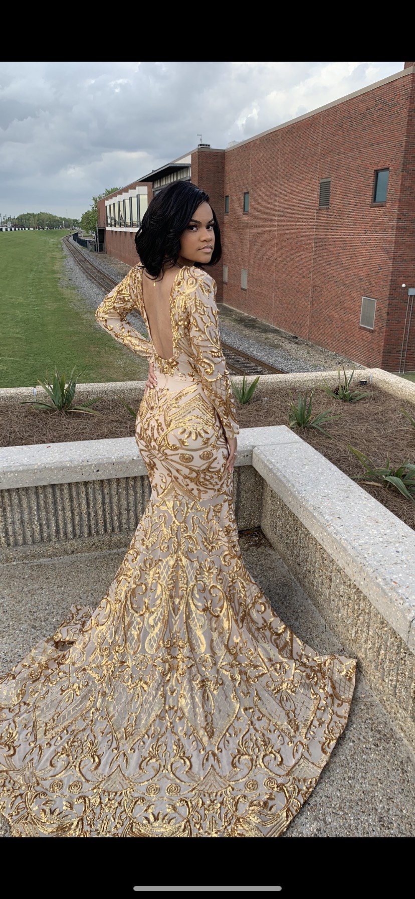 Size 4 Prom Plunge Lace Gold Dress With Train on Queenly