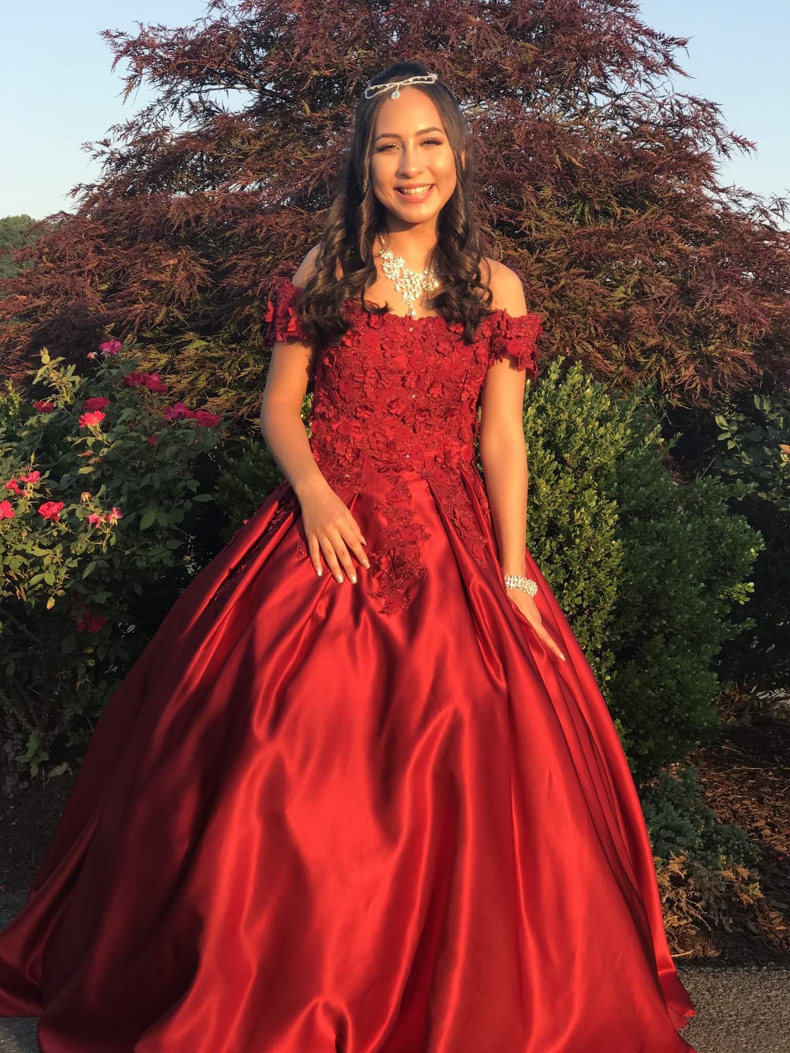 Hebeos Size 2 Red Ball Gown on Queenly
