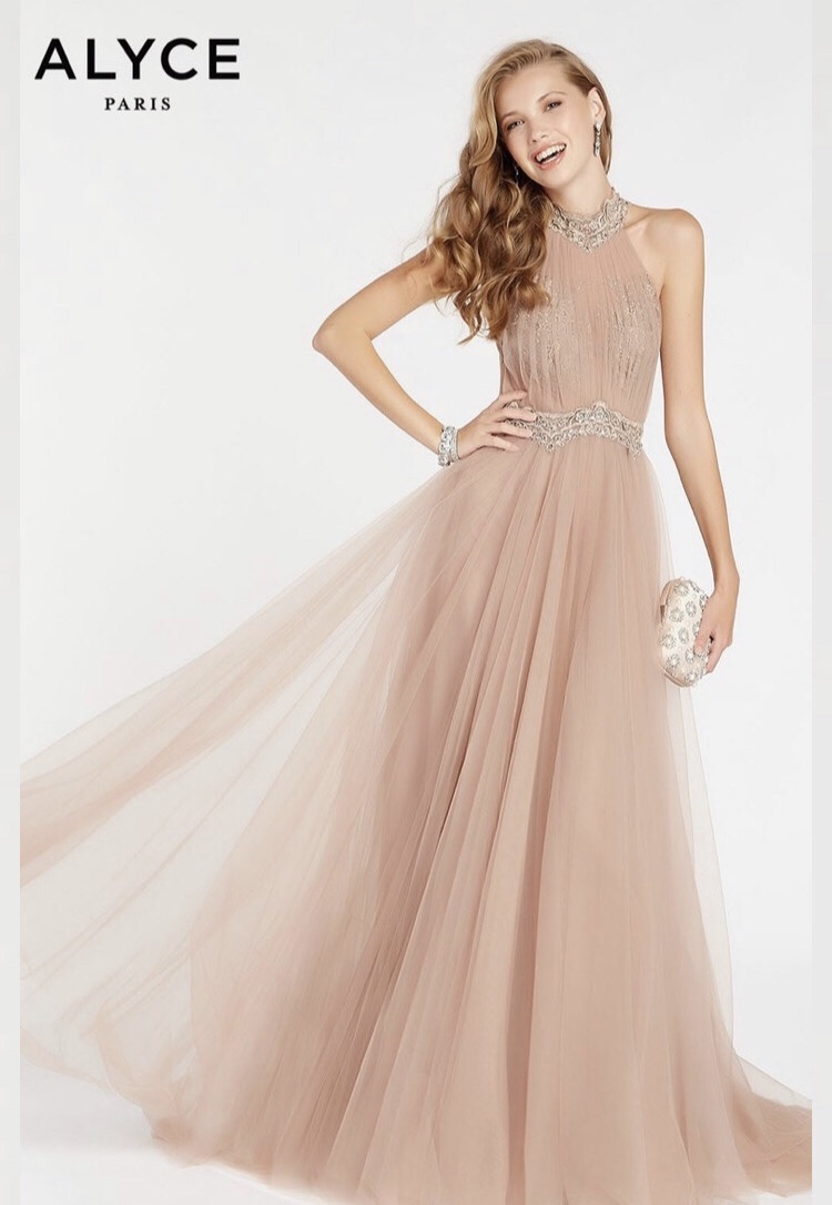 Alyce Paris Nude Size 14 Prom Plus Size Ball gown on Queenly