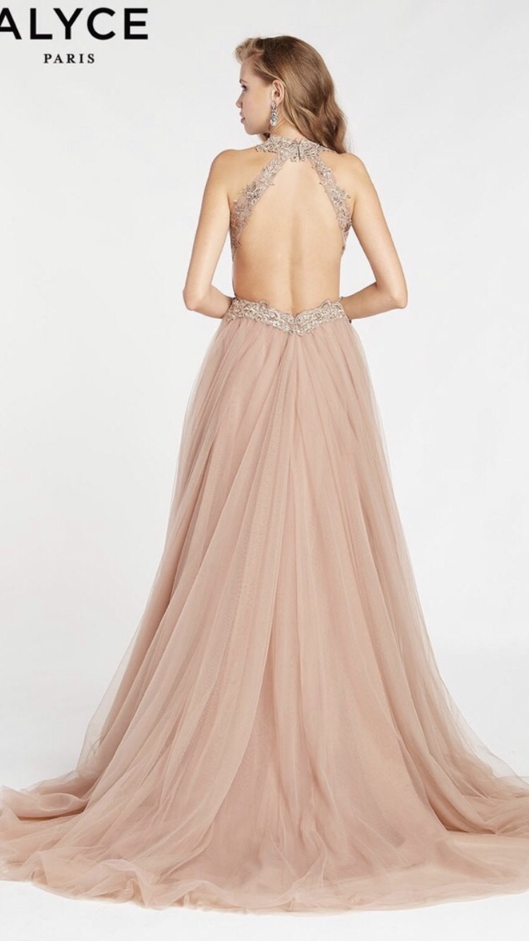 Alyce Paris Nude Size 14 Prom Plus Size Ball gown on Queenly