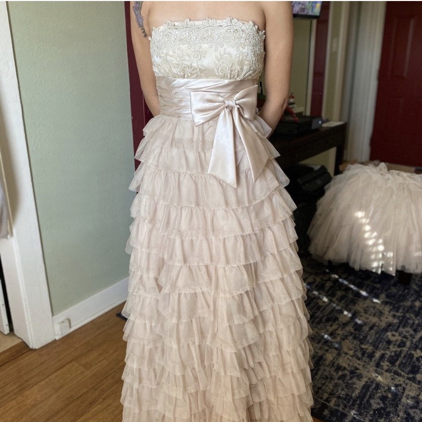 Windsor Size 6 Prom Strapless Nude Ball Gown on Queenly