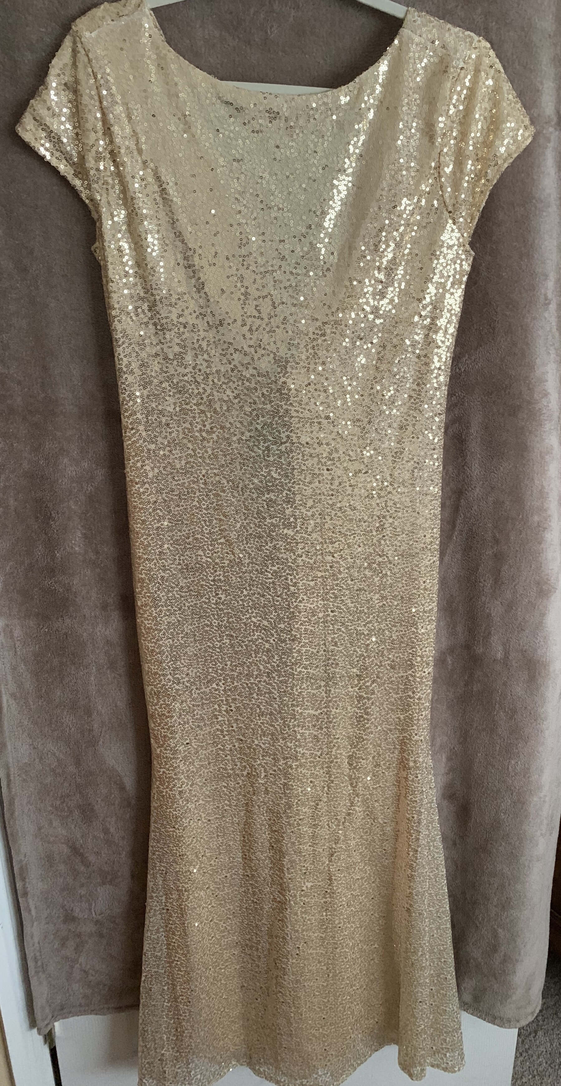 Size 10 Prom Cap Sleeve Gold Floor Length Maxi on Queenly