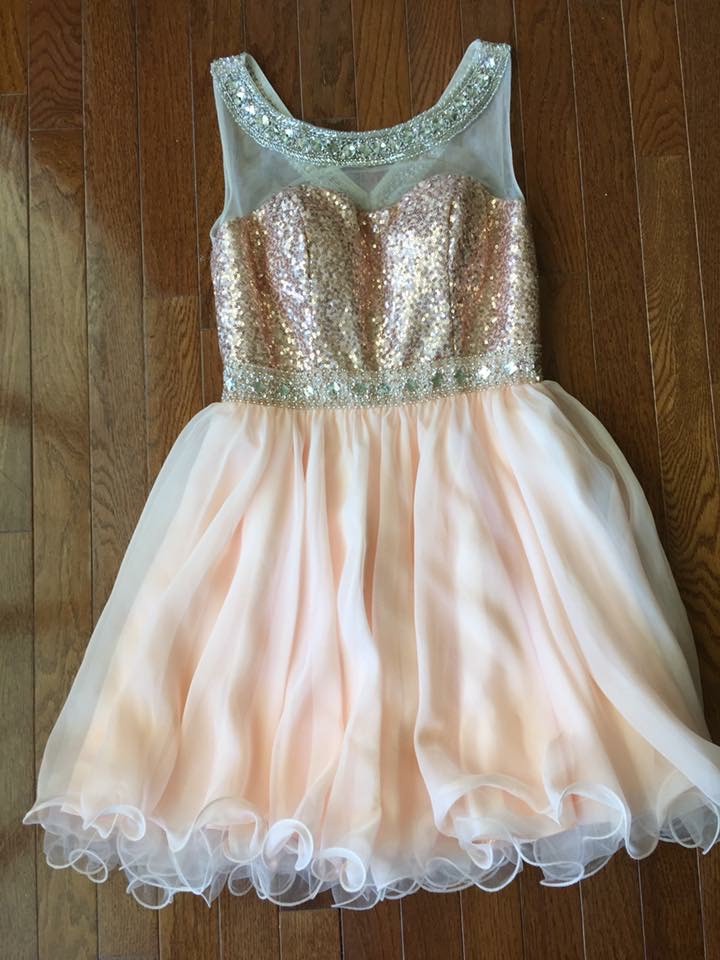 Size 4 Homecoming Sheer Light Pink Cocktail Dress on Queenly