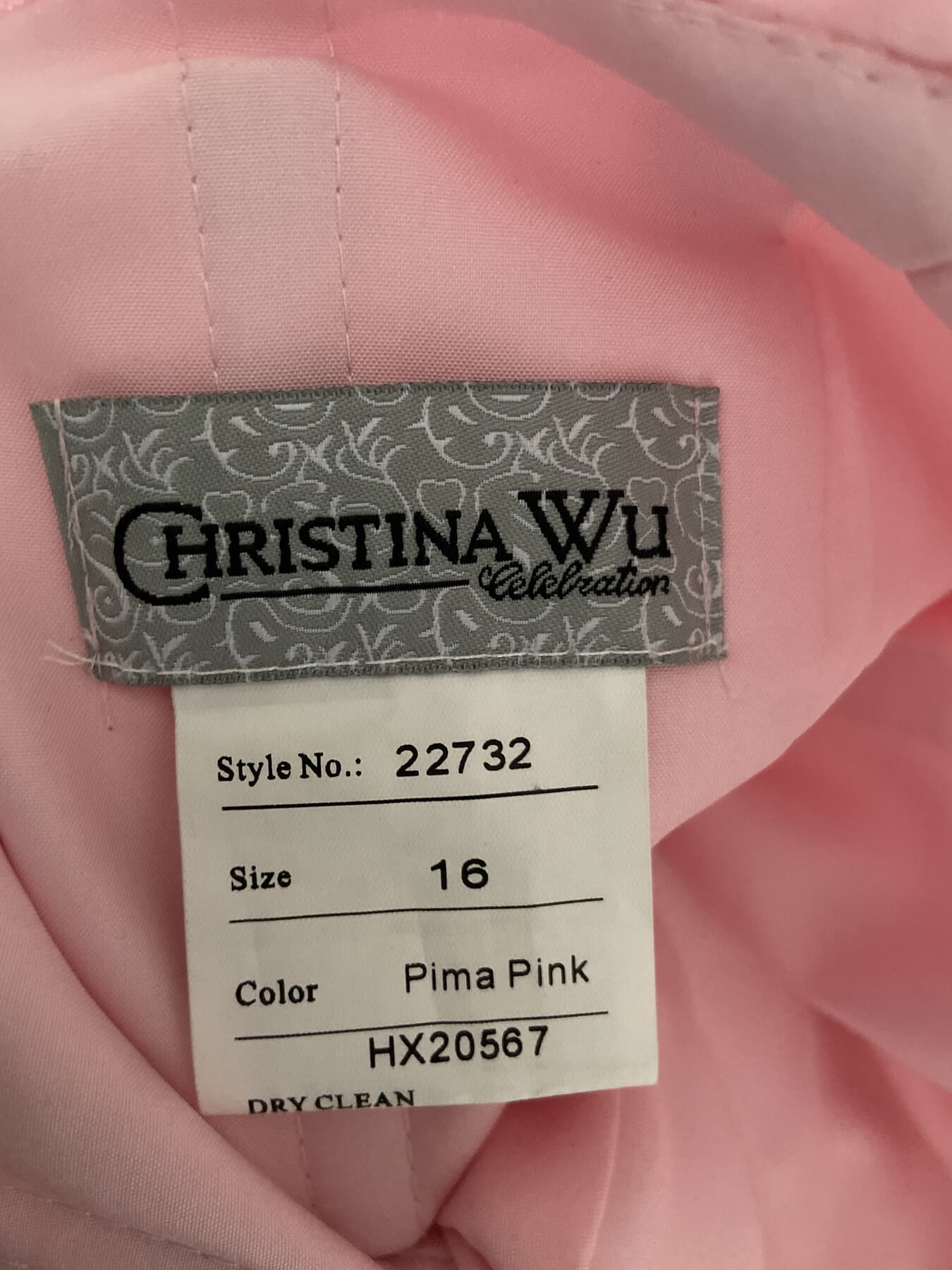 Christina Wu Plus Size 16 Prom Pink A-line Dress on Queenly