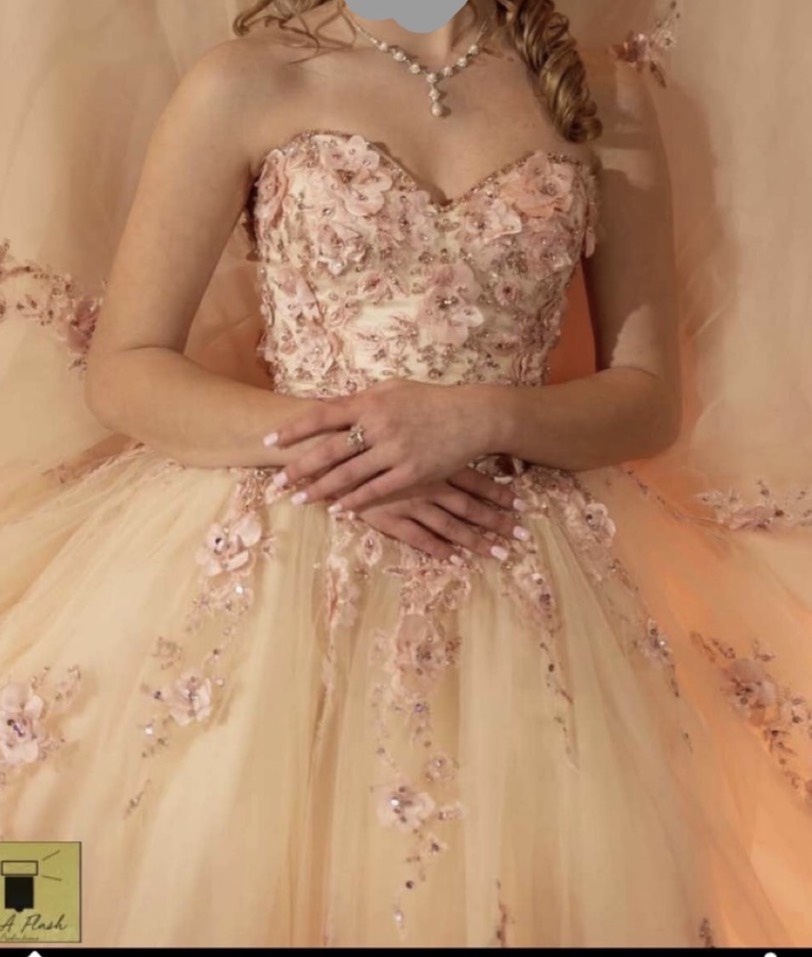 Pink Size 2 Ball gown on Queenly