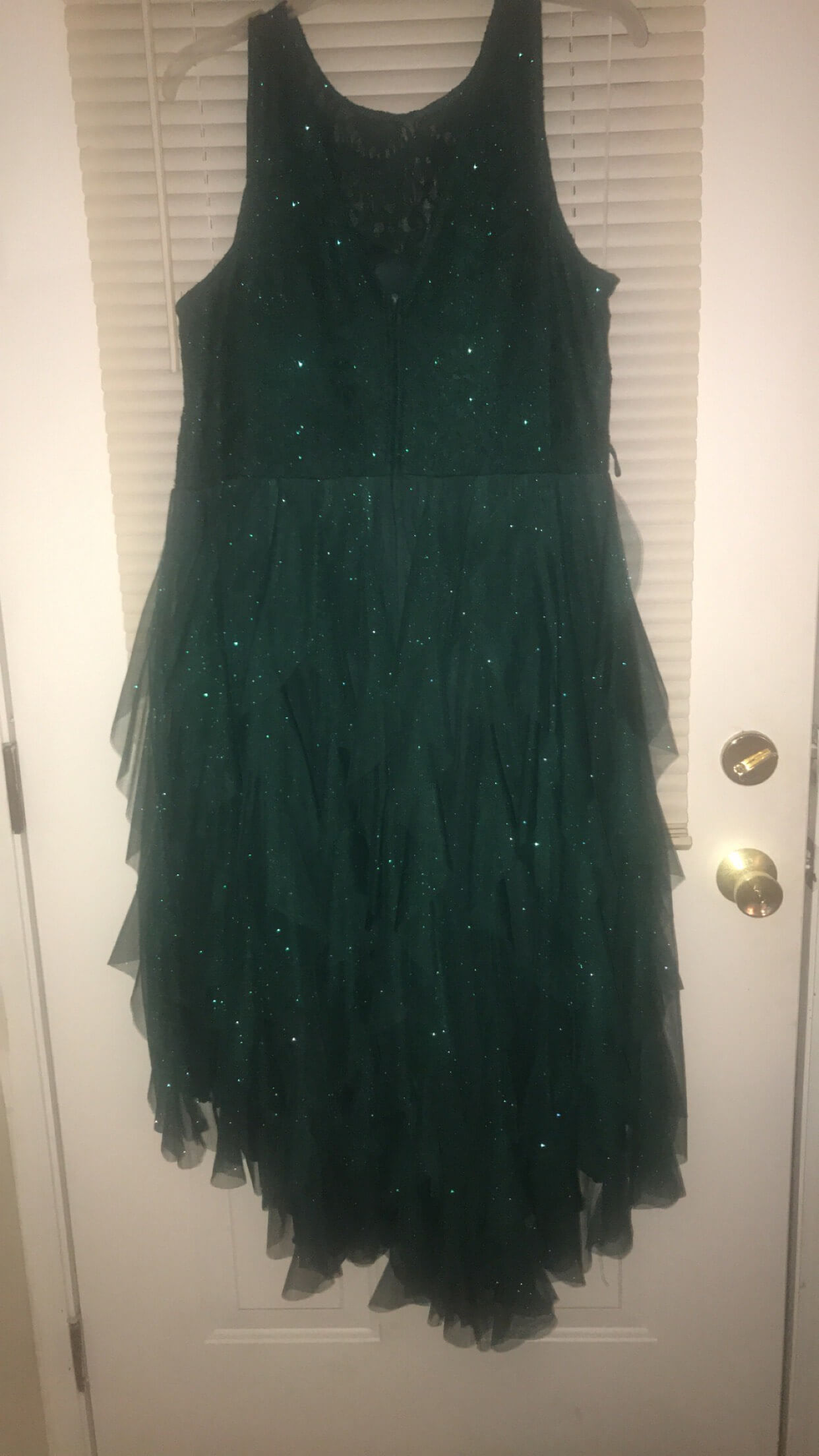 teeze me Plus Size 18 Homecoming Lace Emerald Green Cocktail Dress on Queenly