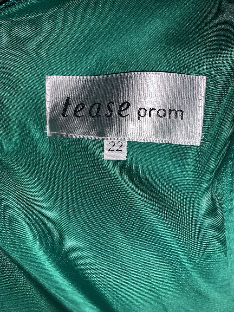 Tease prom Plus Size 22 Sheer Green Ball Gown on Queenly