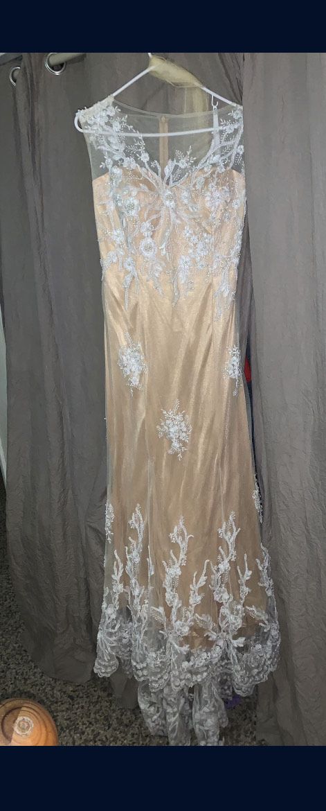 Plus Size 18 Prom Lace Nude Dress With Train on Queenly