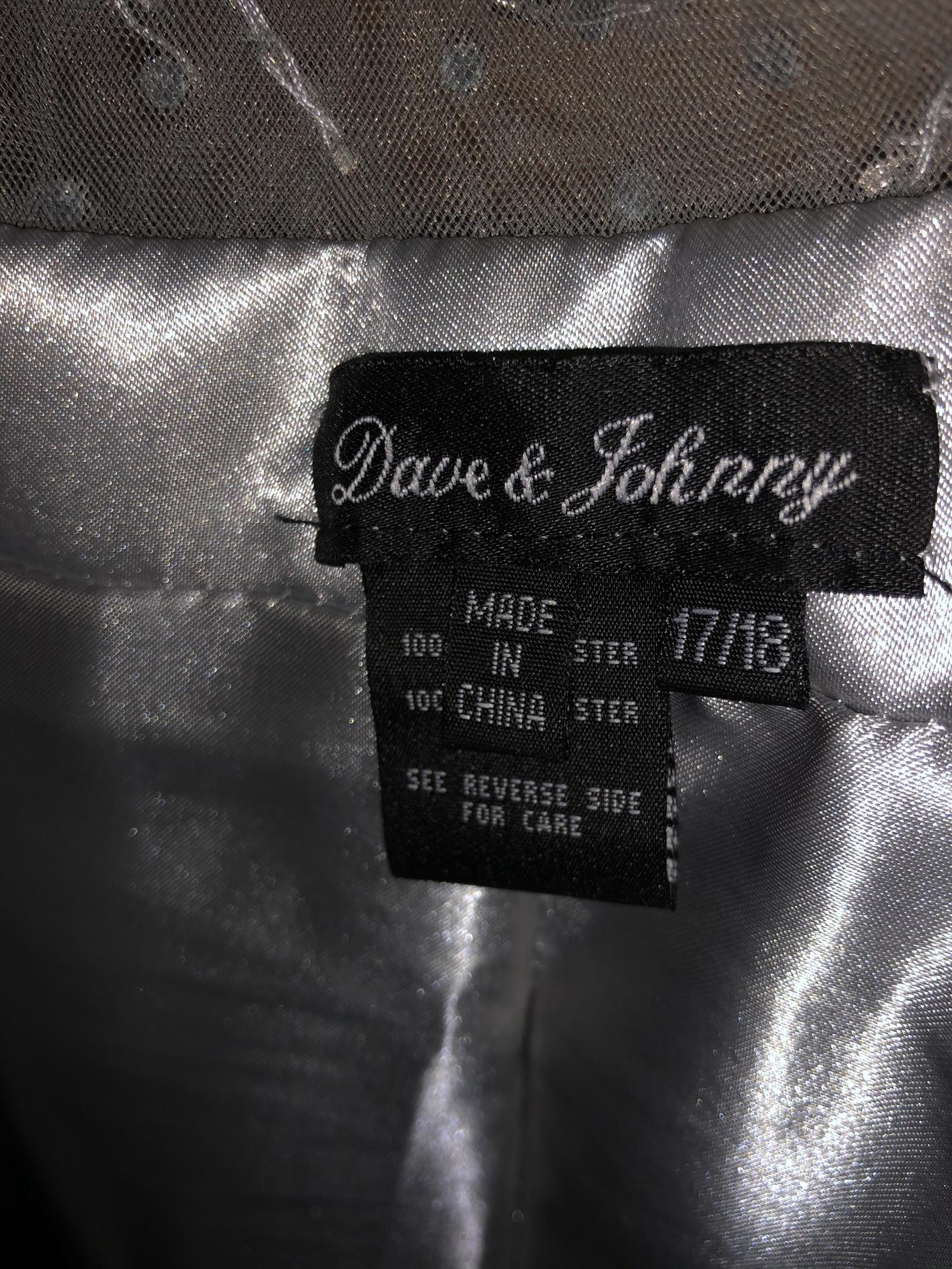 Dave & Johnny Silver Size 18 Tall Height Dave And Johnny Ball gown on Queenly