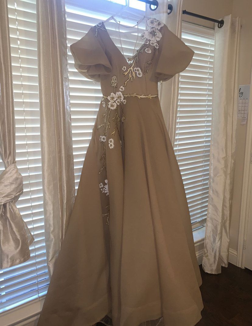Fouad Sarkis Size 6 Nude Ball Gown on Queenly