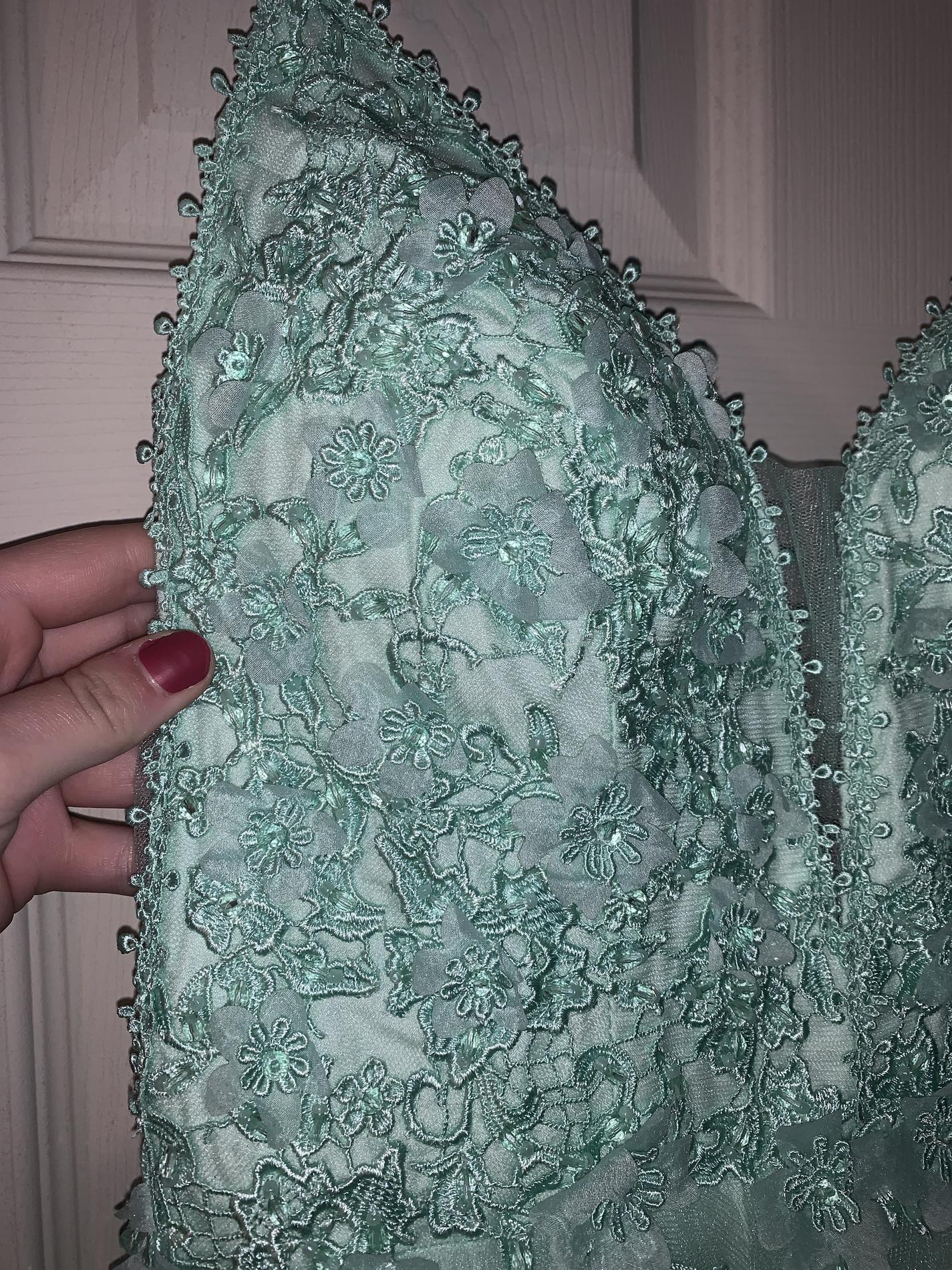 Size 2 Prom Plunge Light Green Dress With Train on Queenly