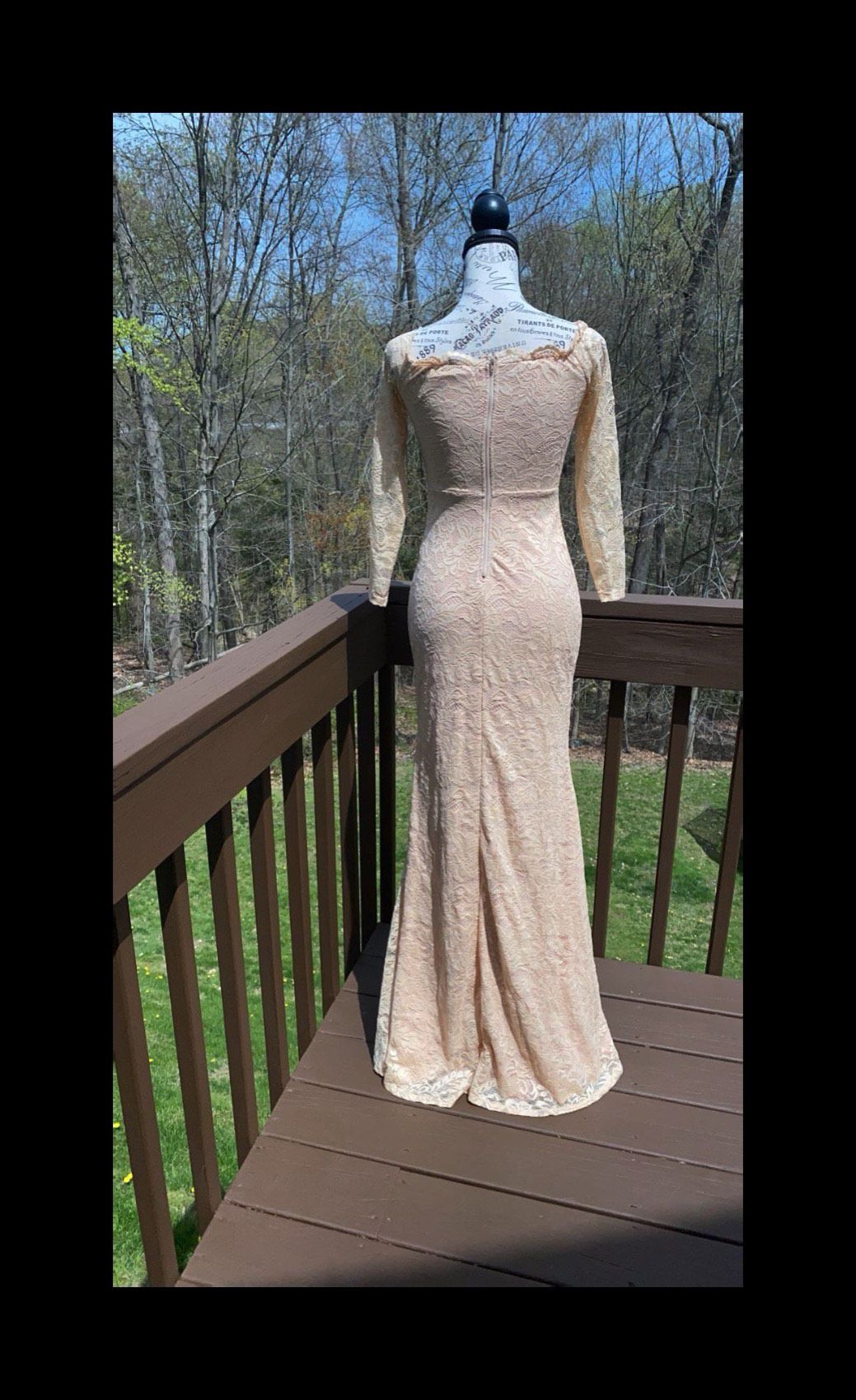 Windsor Size 4 Long Sleeve Lace Nude Floor Length Maxi on Queenly