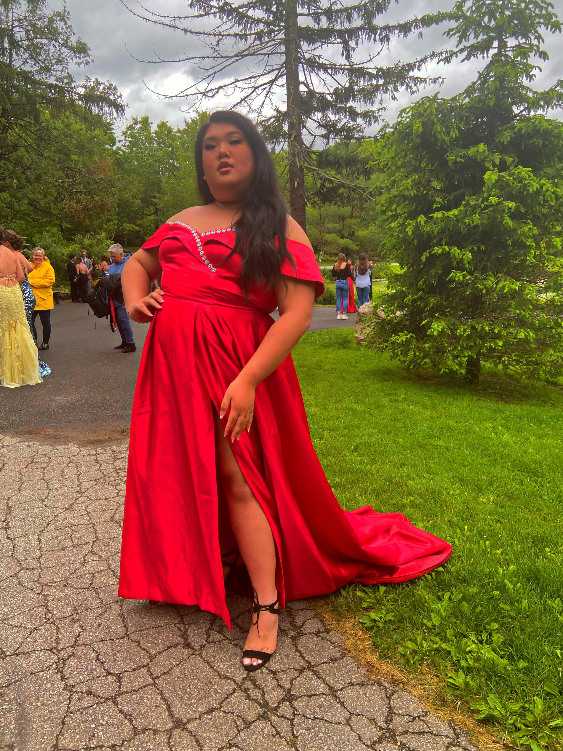 Plus Size 20 Red Ball Gown on Queenly