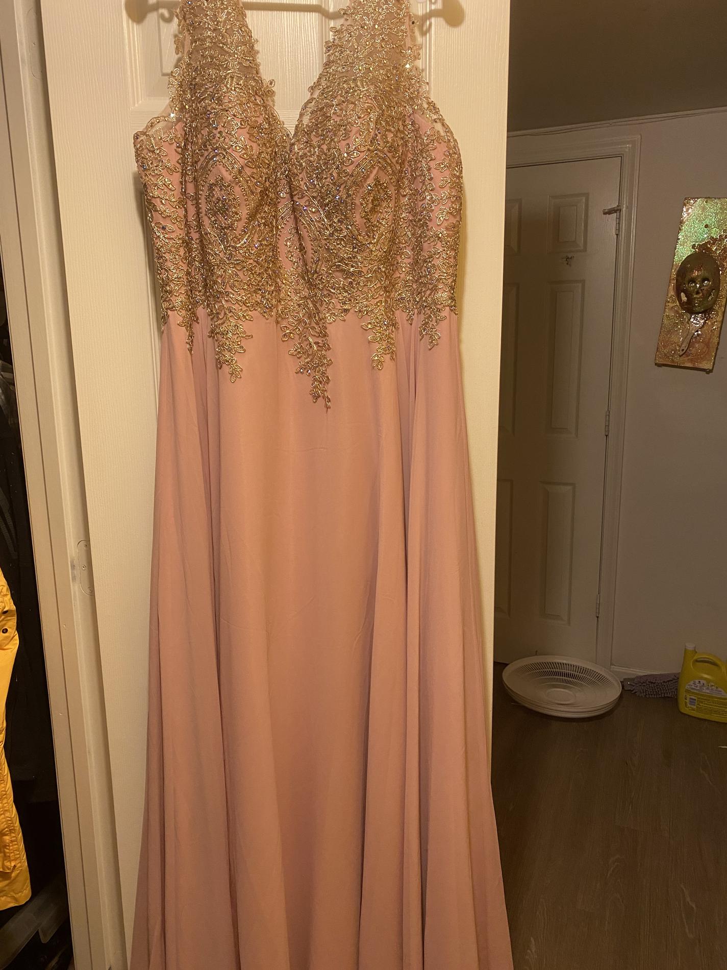 Plus Size 18 Pageant Pink Floor Length Maxi on Queenly