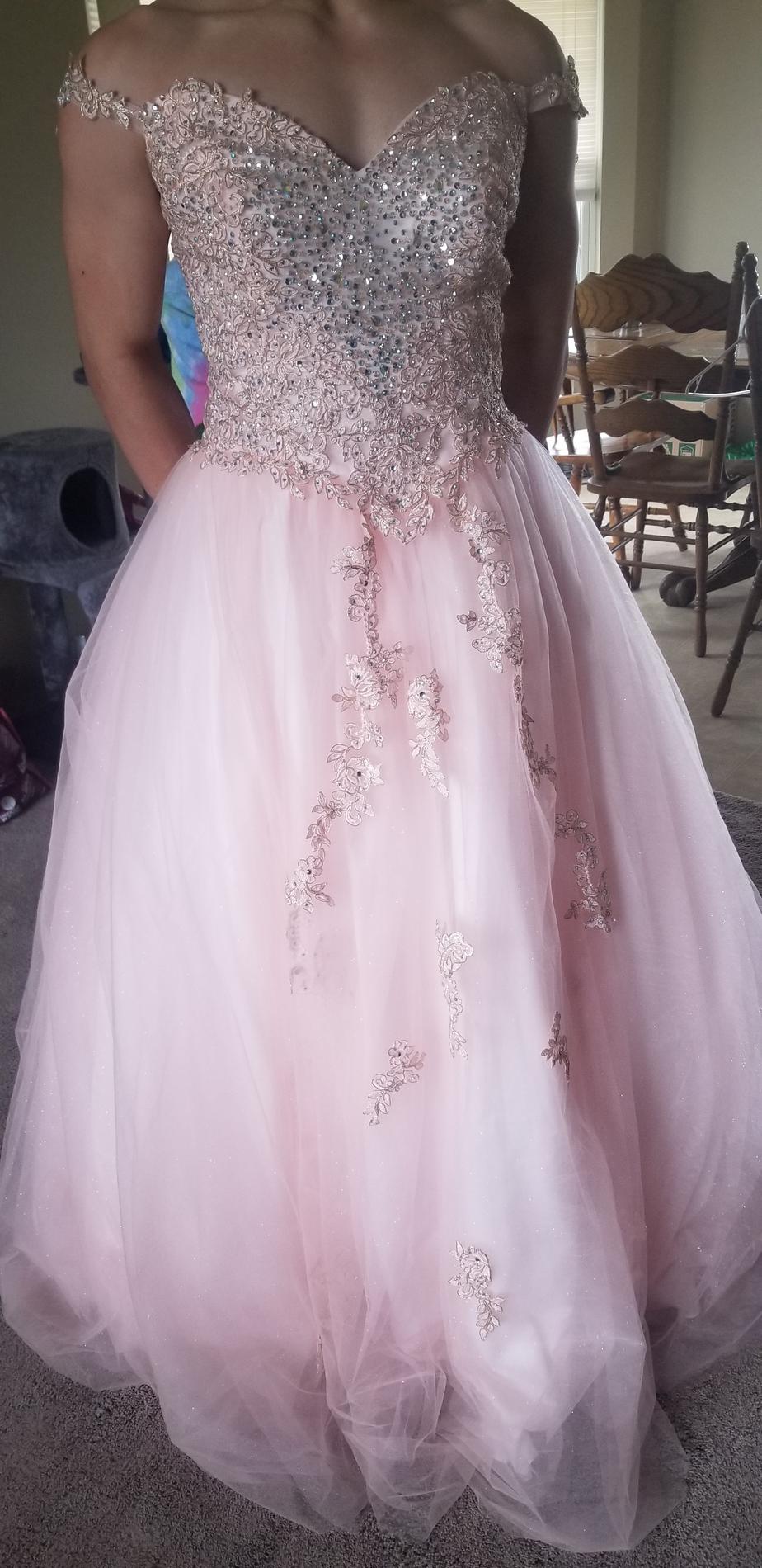Plus Size 18 Lace Pink Ball Gown on Queenly