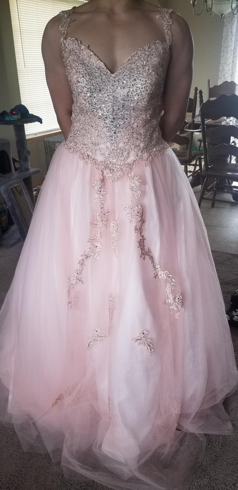 Plus Size 18 Lace Pink Ball Gown on Queenly