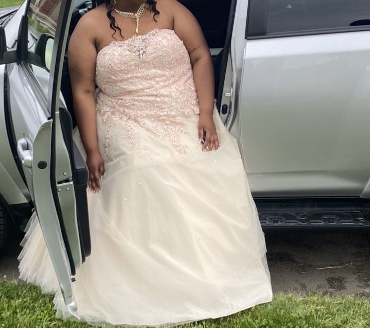 Plus Size 28 Prom Pink Ball Gown on Queenly