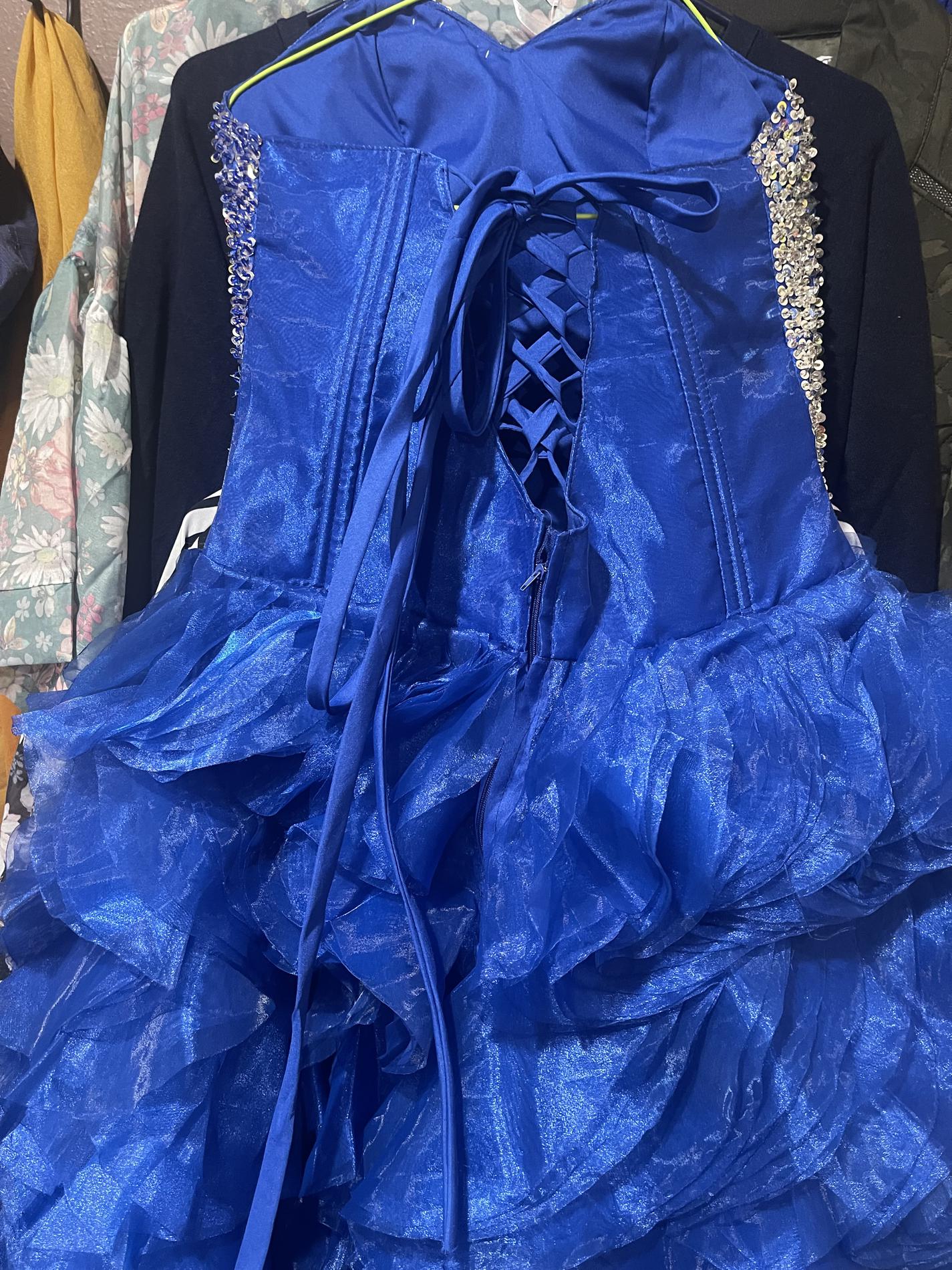 Plus Size 30 Blue Ball Gown on Queenly