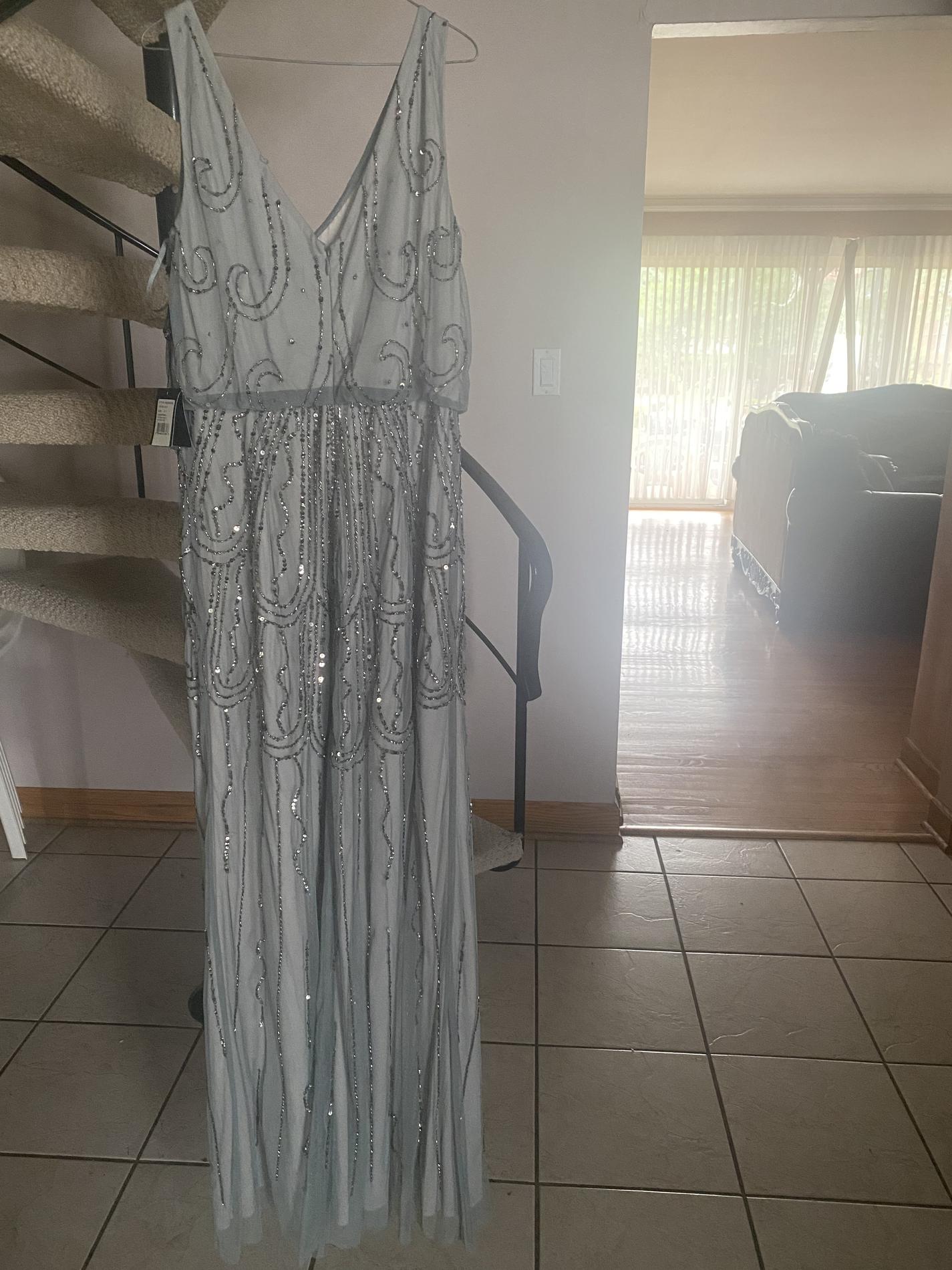 Adrianna Papell Size 8 Silver Floor Length Maxi on Queenly