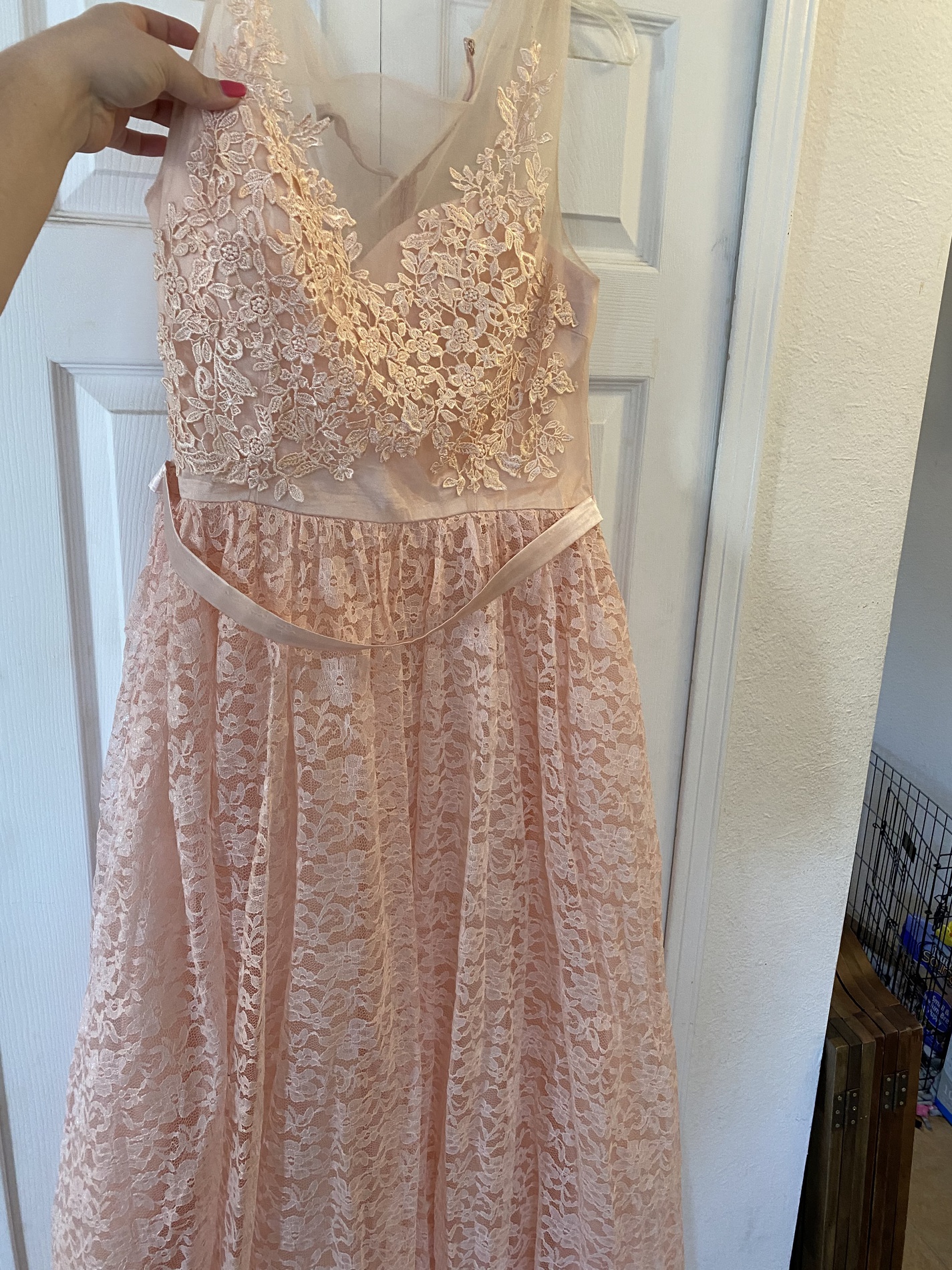 Plus Size 22 Pink Floor Length Maxi on Queenly