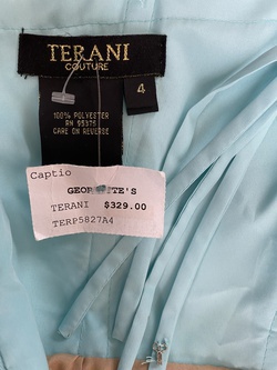 Terani Couture Size 4 Prom Strapless Blue Floor Length Maxi on Queenly