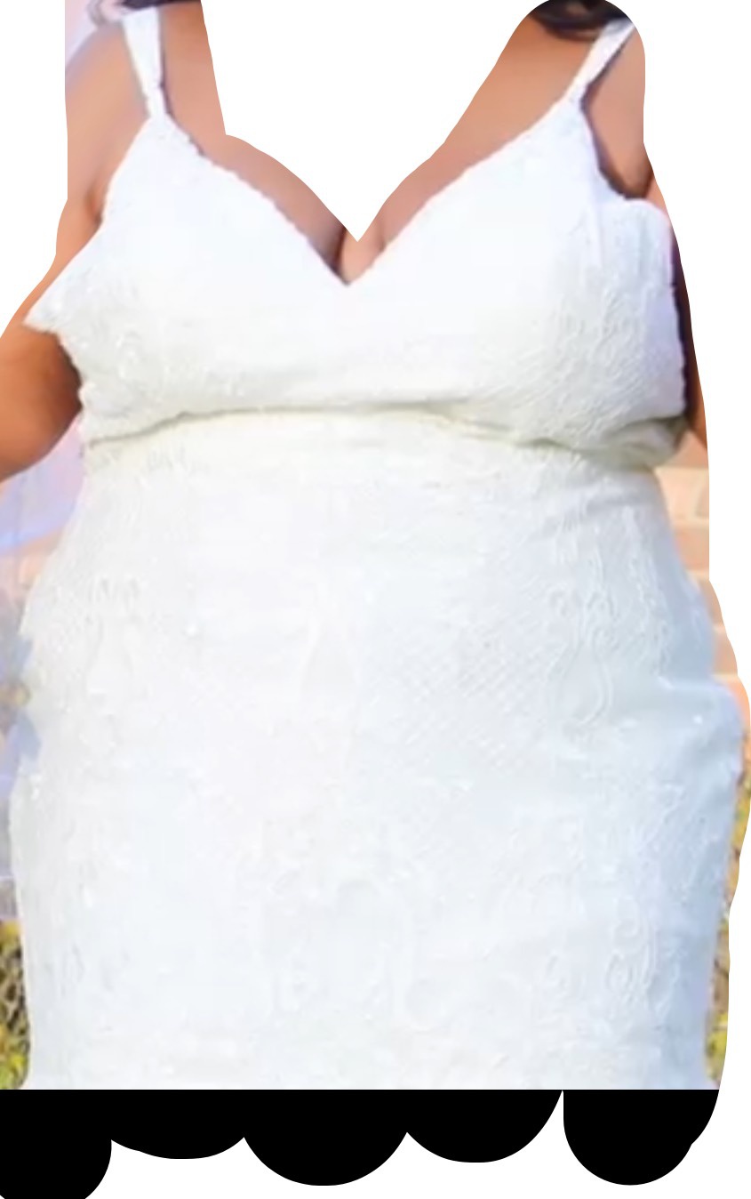 Lucci Lu Plus Size 22 Wedding White Mermaid Dress on Queenly