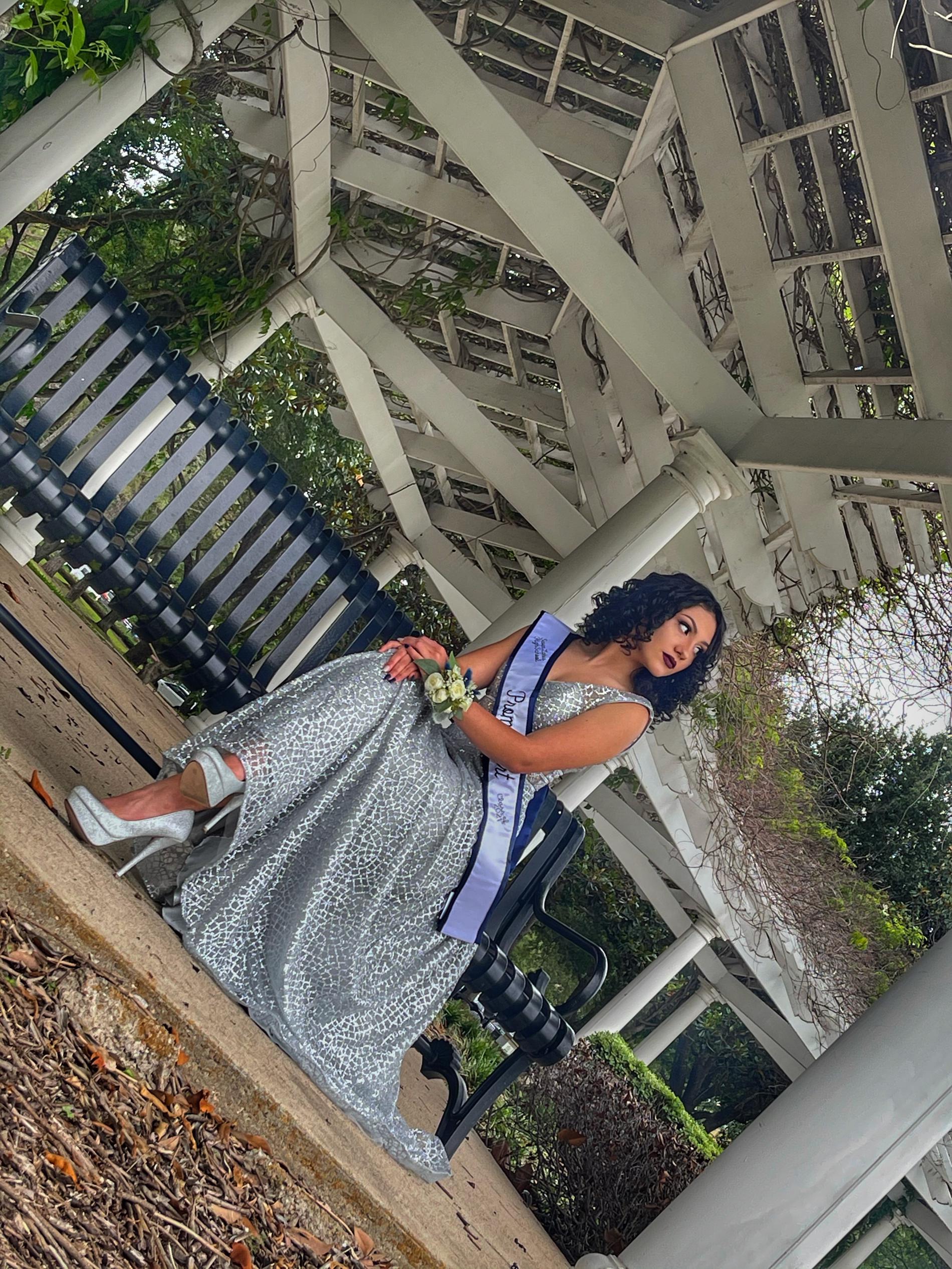 Size 4 Silver Dress With Train on Queenly