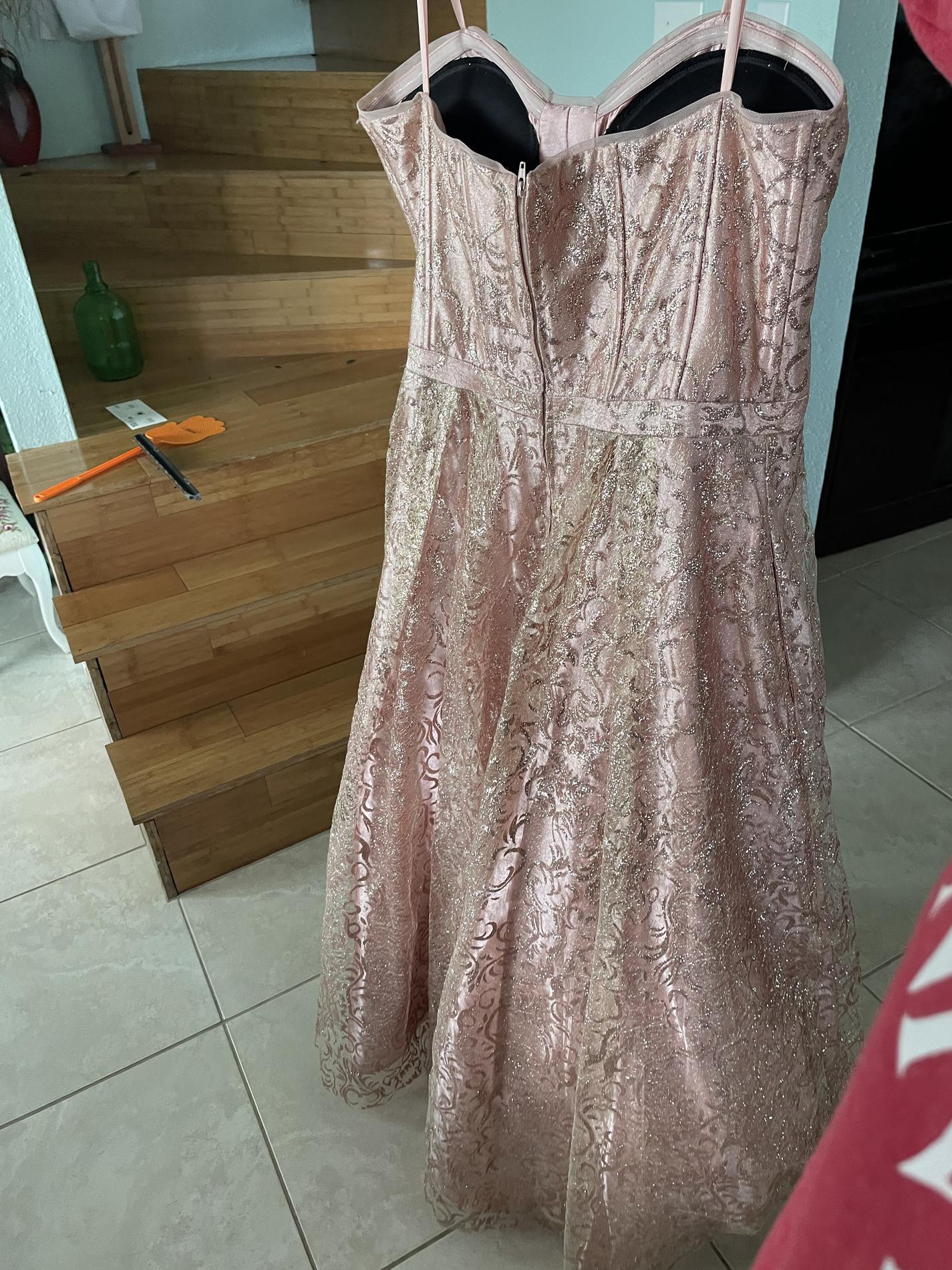 Gianni Bini Size 12 Prom Strapless Pink Ball Gown on Queenly