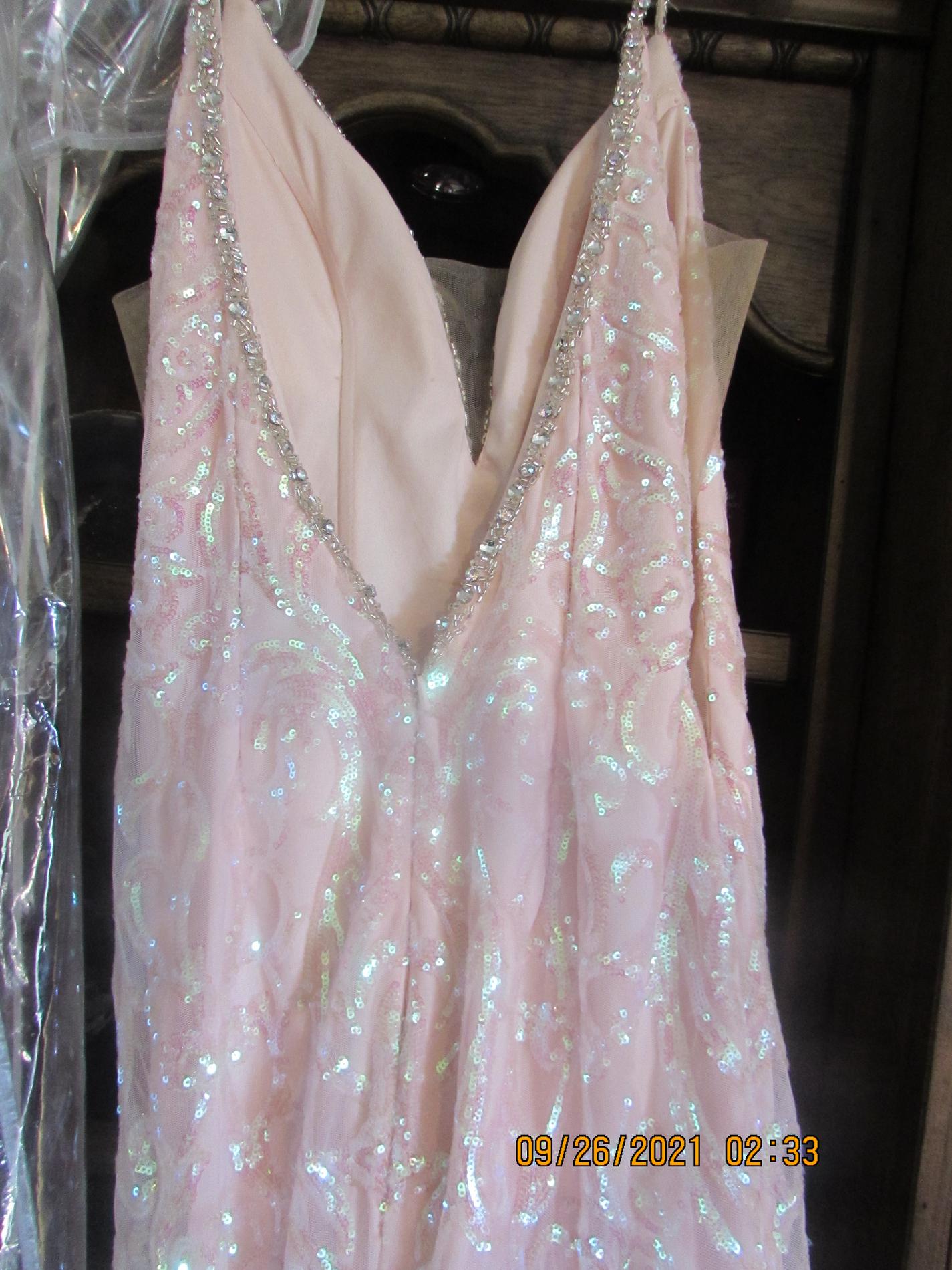 Rachel Allan Size 6 Prom Light Pink Mermaid Dress on Queenly