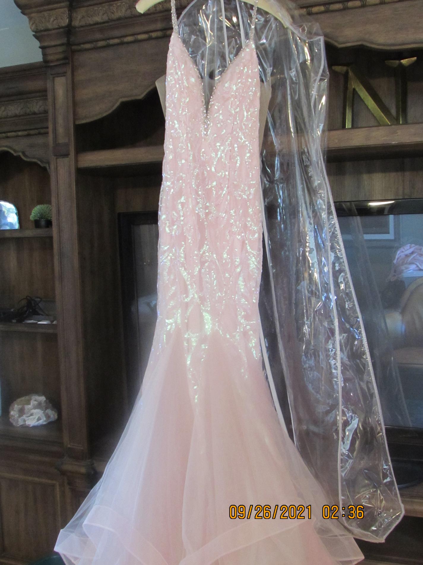 Rachel Allan Size 6 Prom Light Pink Mermaid Dress on Queenly