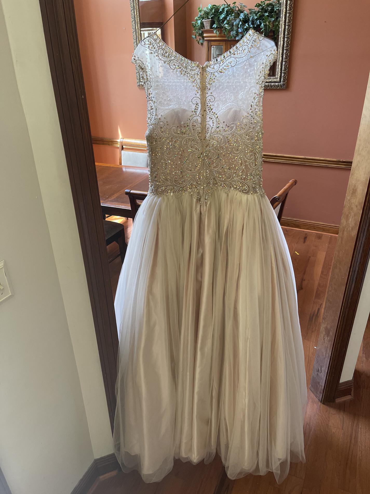 Plus Size 20 Prom Cap Sleeve Sheer Nude Ball Gown on Queenly