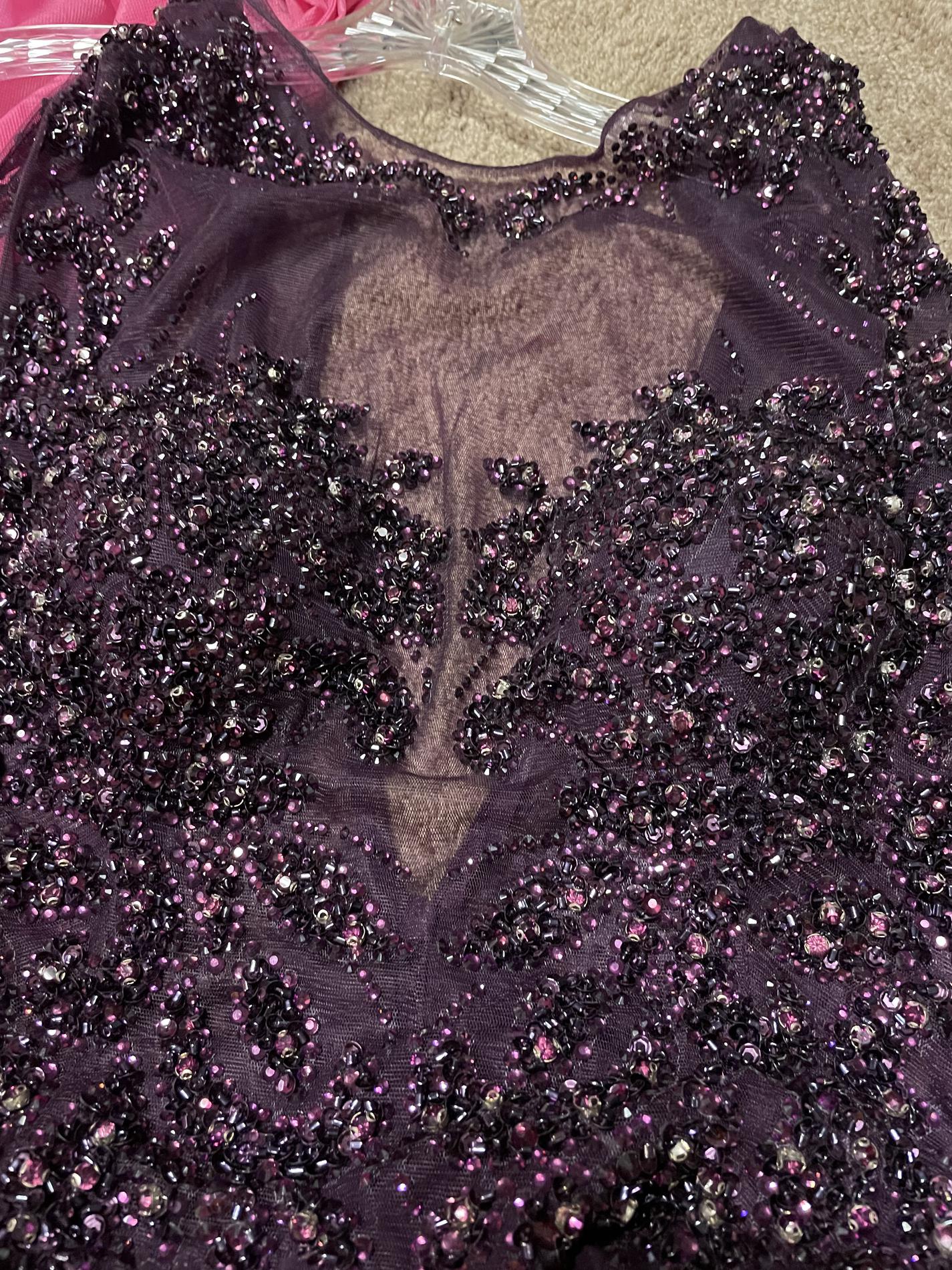 Envious couture Plus Size 16 Sheer Purple Floor Length Maxi on Queenly