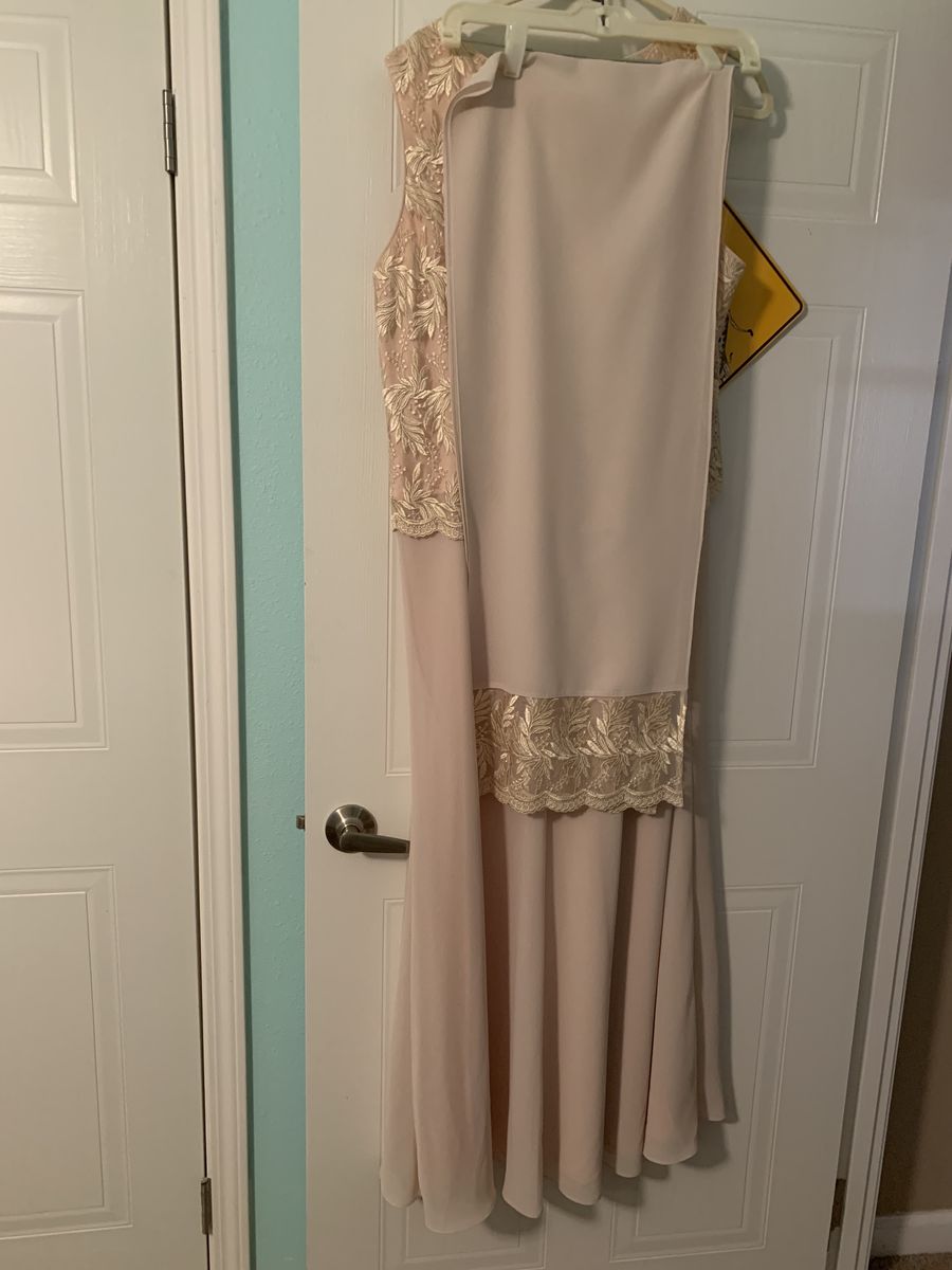 Plus Size 16 Wedding Guest Lace Light Pink Floor Length Maxi on Queenly