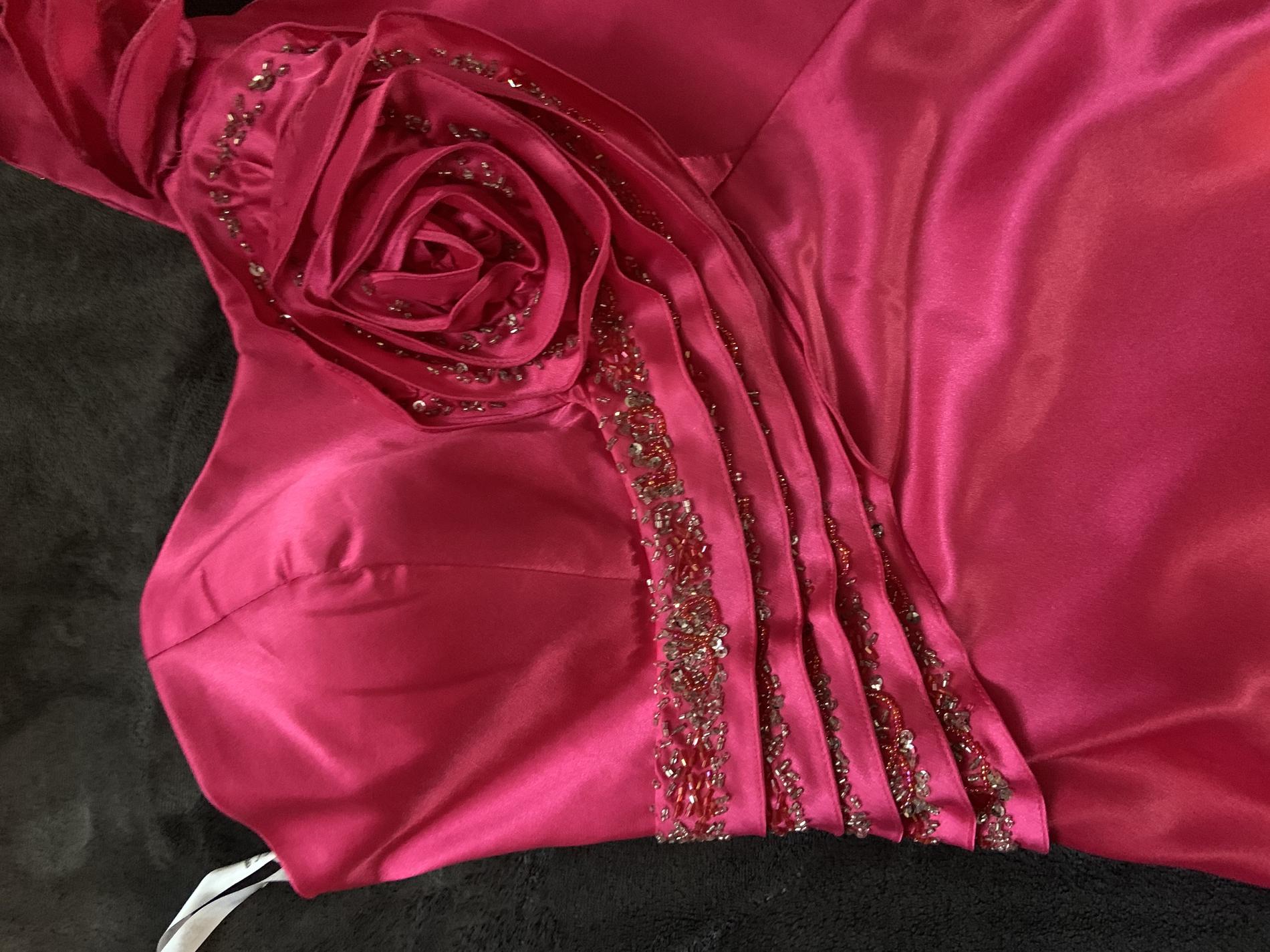 Size 4 Prom Hot Pink Floor Length Maxi on Queenly
