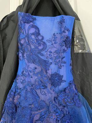 Juan Carlos Pinera Blue Size 2 Boat Neck Strapless Prom Train Dress on Queenly