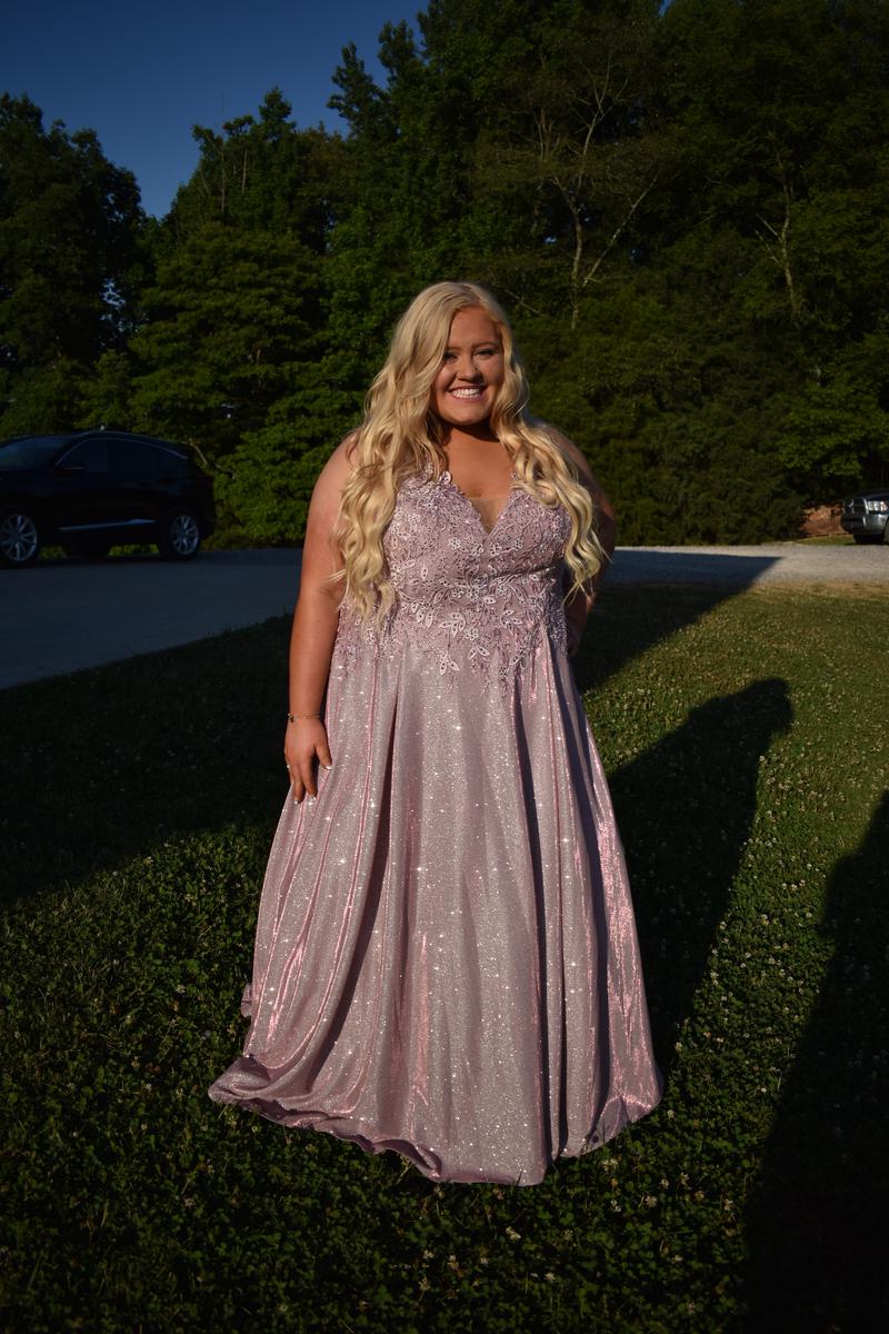 Plus Size 24 Prom Lace Pink Floor Length Maxi on Queenly