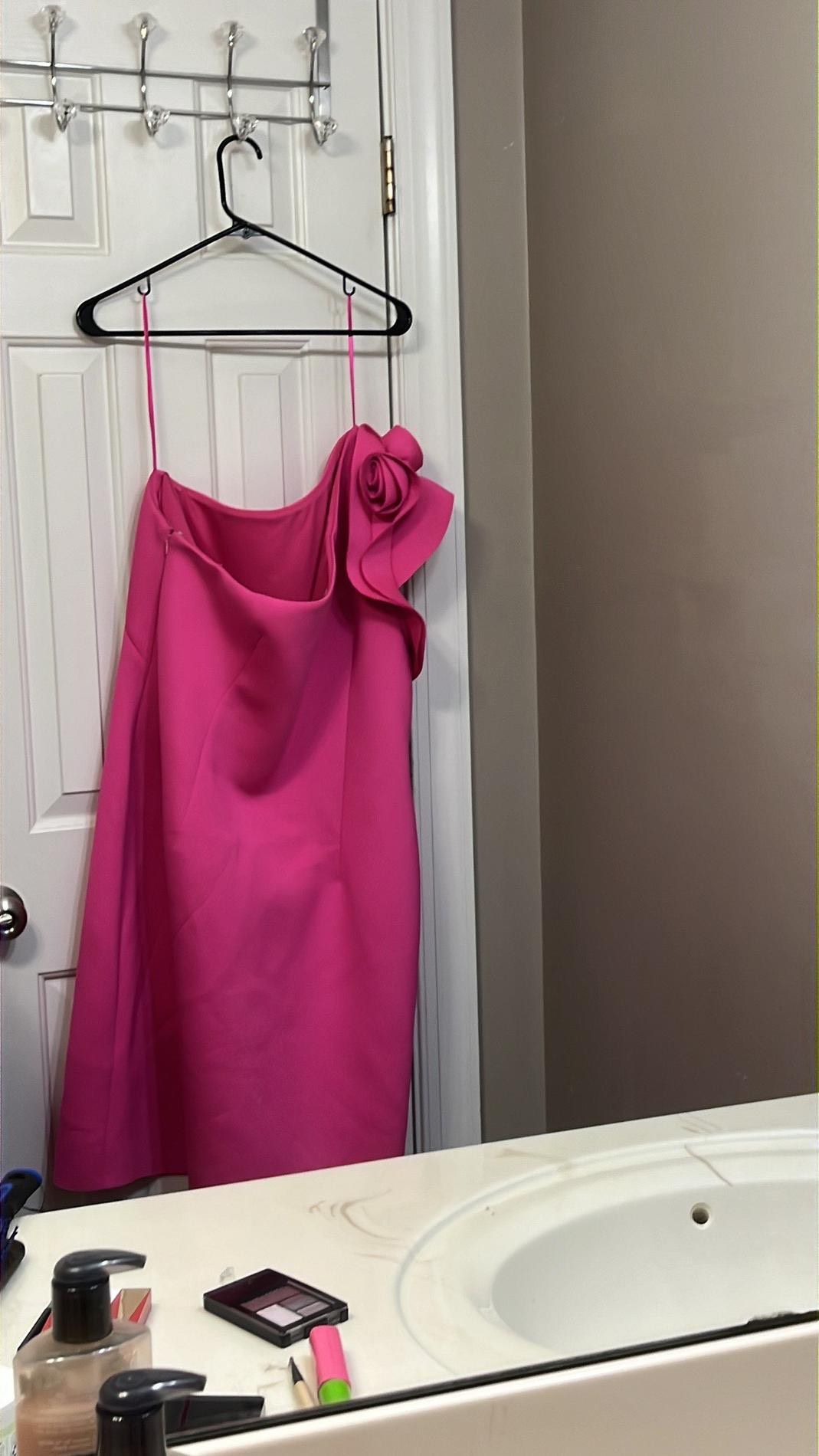 Eliza J Plus Size 20 One Shoulder Pink Cocktail Dress on Queenly