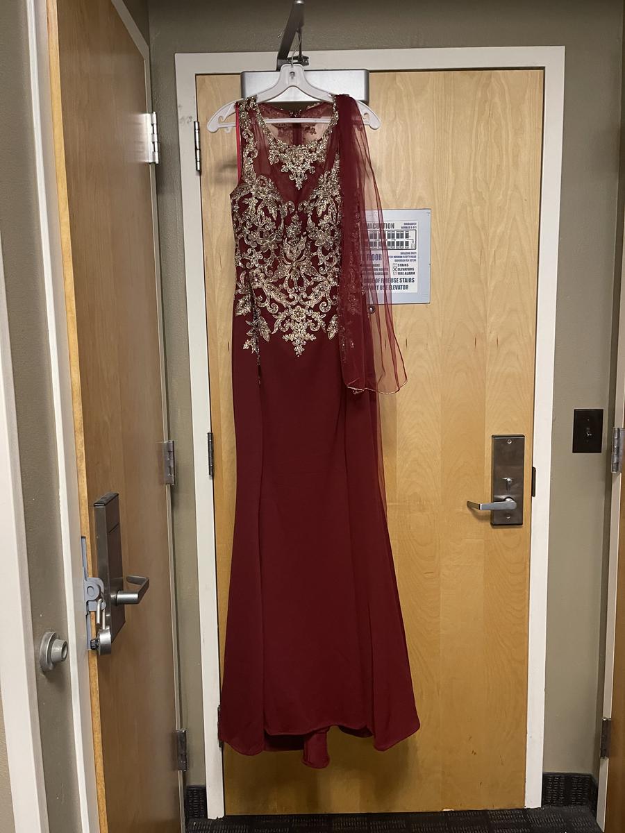 Plus Size 20 Sequined Red Floor Length Maxi on Queenly