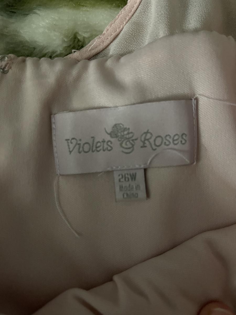 Violets and roses Plus Size 26 Pink A-line Dress on Queenly