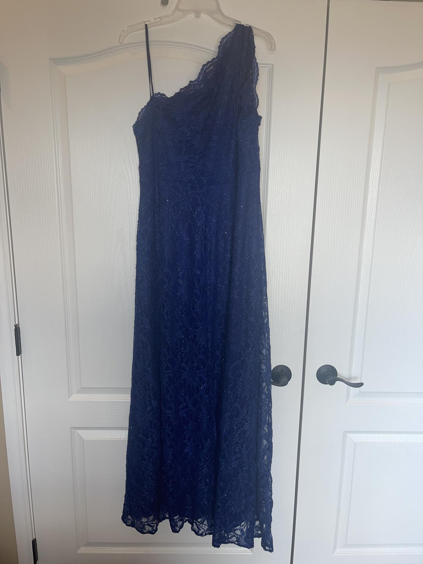 Plus Size 20 Lace Blue Floor Length Maxi on Queenly
