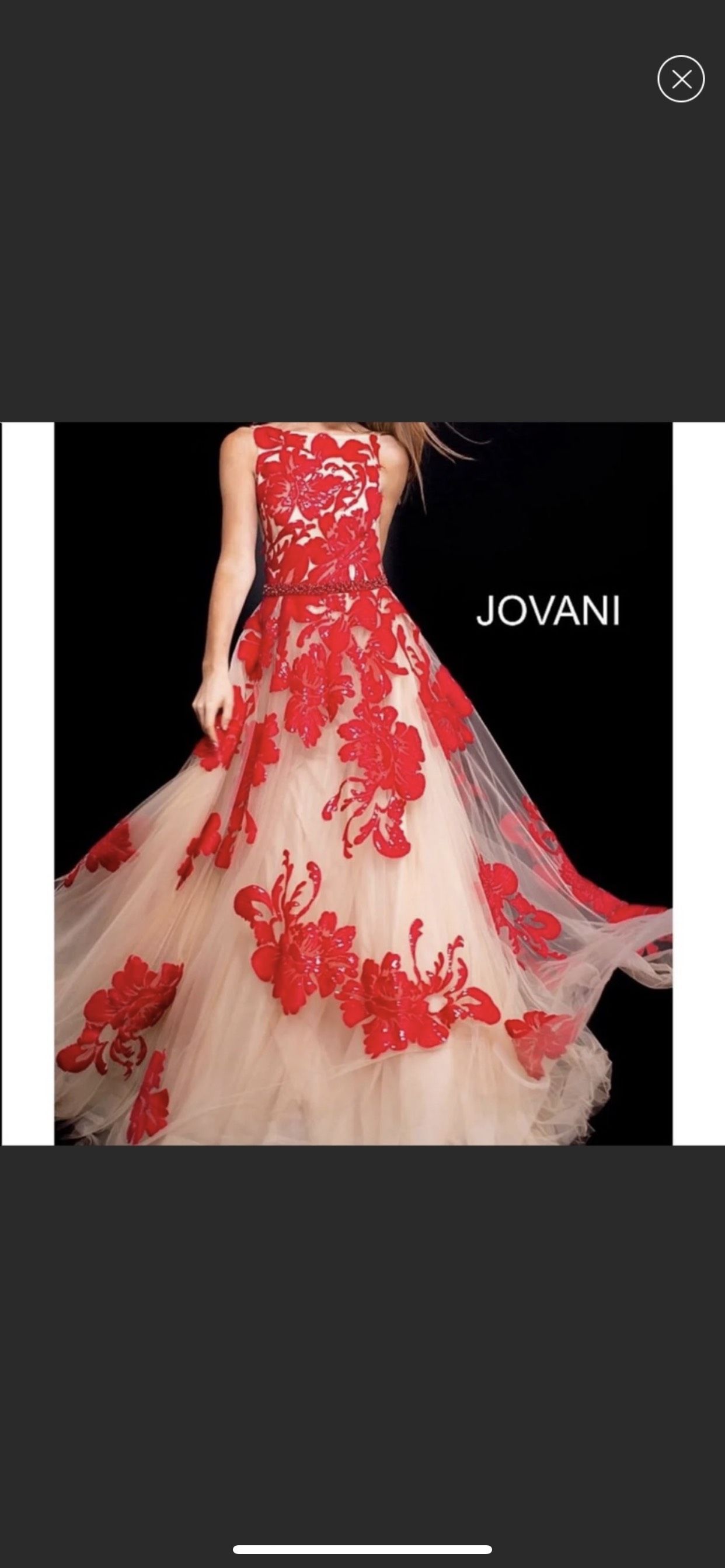 Jovani Size 12 Prom Lace Multicolor Ball Gown on Queenly