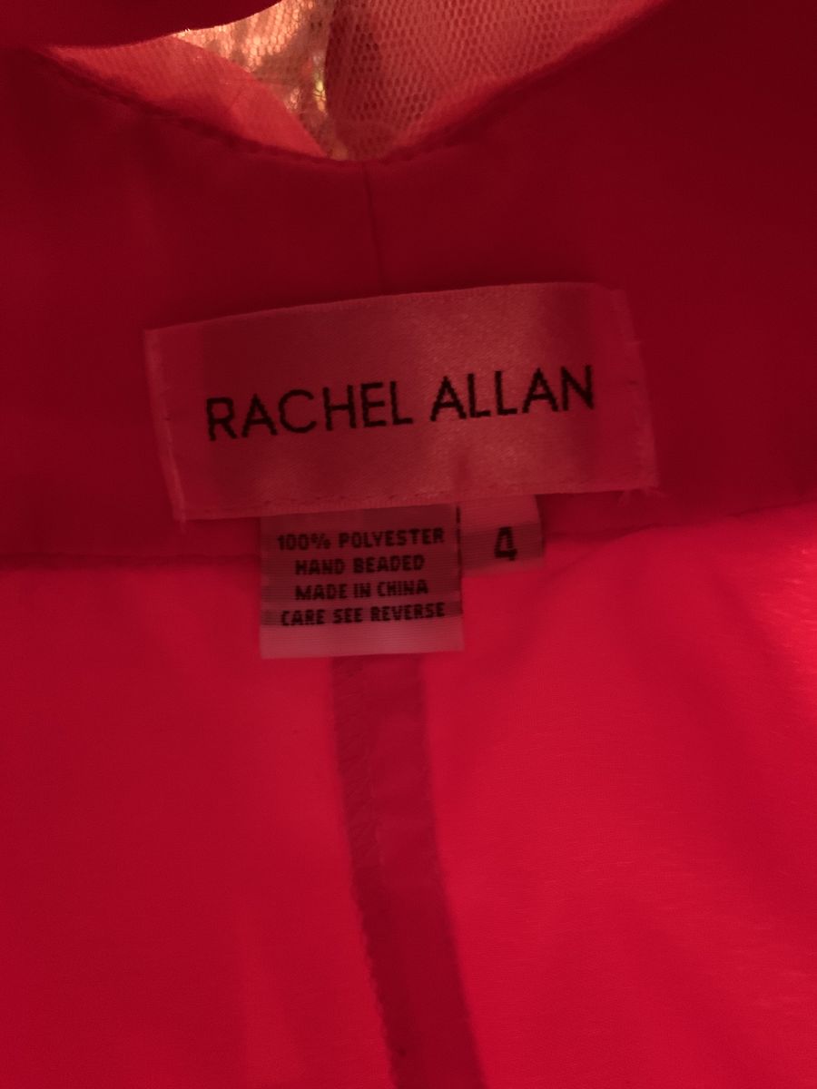 Rachel Allan Size 4 Prom Pink Floor Length Maxi on Queenly