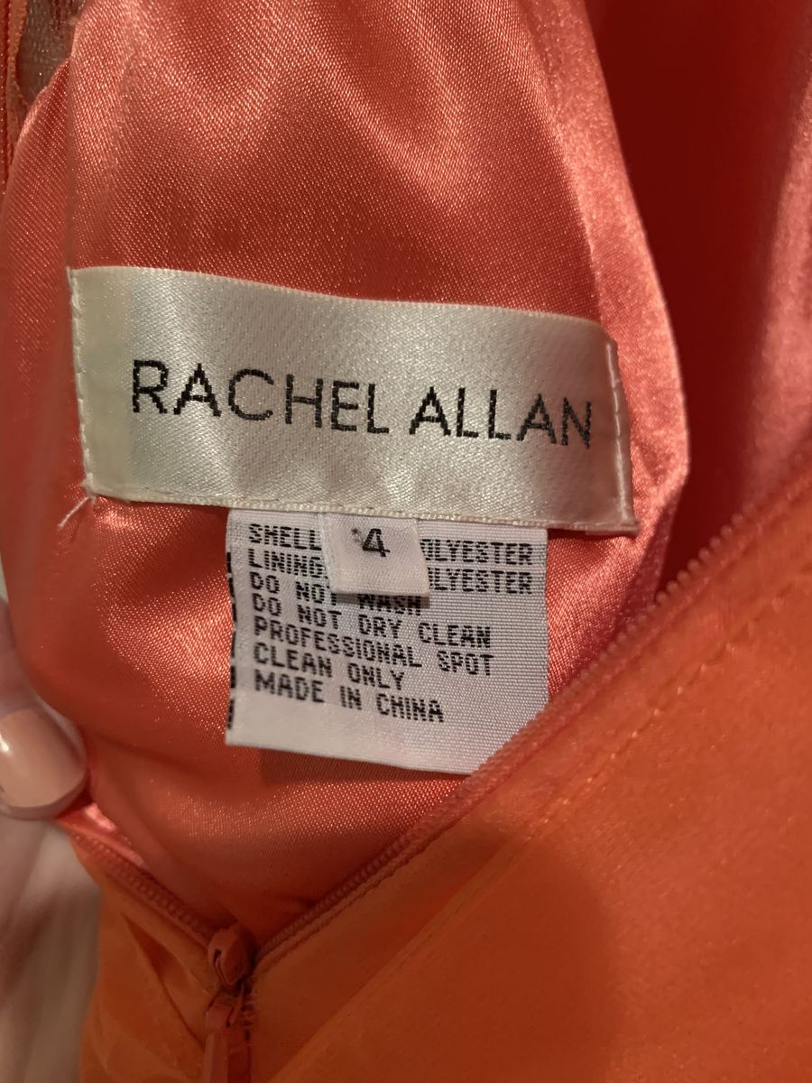 Rachel Allan Size 4 Pink Floor Length Maxi on Queenly