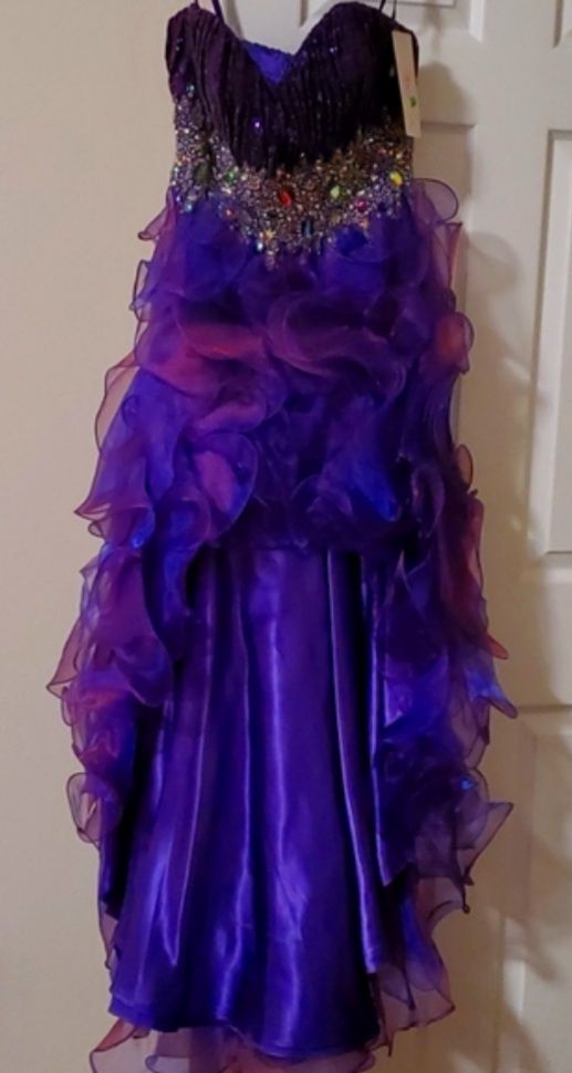 Let's Fashion Size 10 Prom Strapless Satin Purple Dress With Train on Queenly