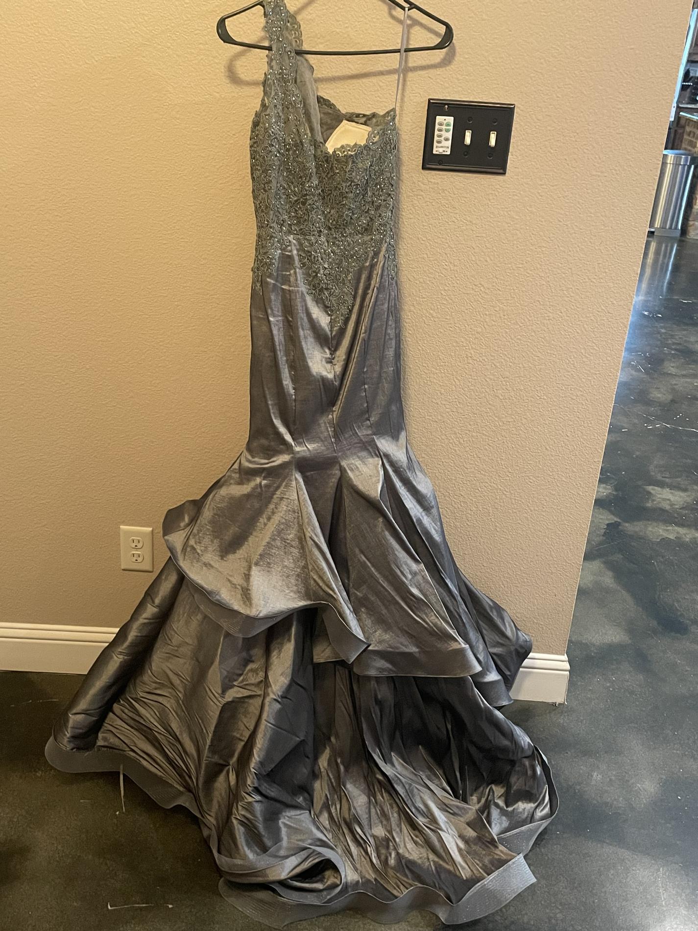 Terry Costa Size 4 Silver Mermaid Dress on Queenly