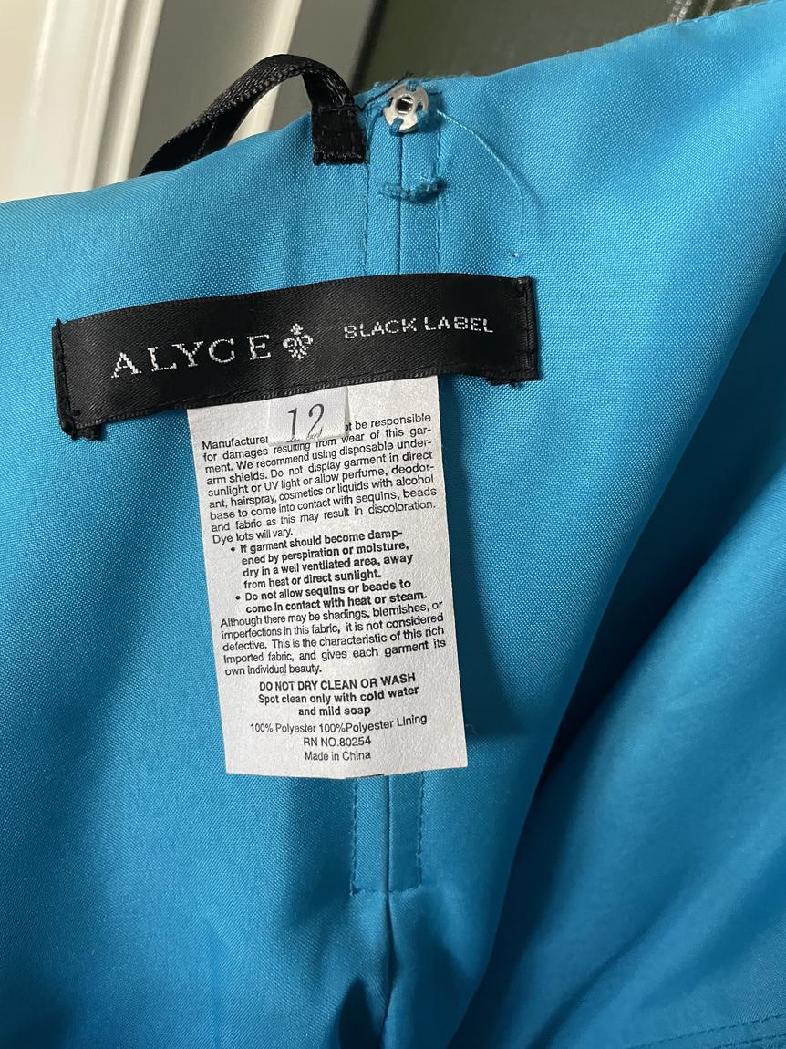 Alyce - Black Label Size 12 Turquoise Blue Mermaid Dress on Queenly
